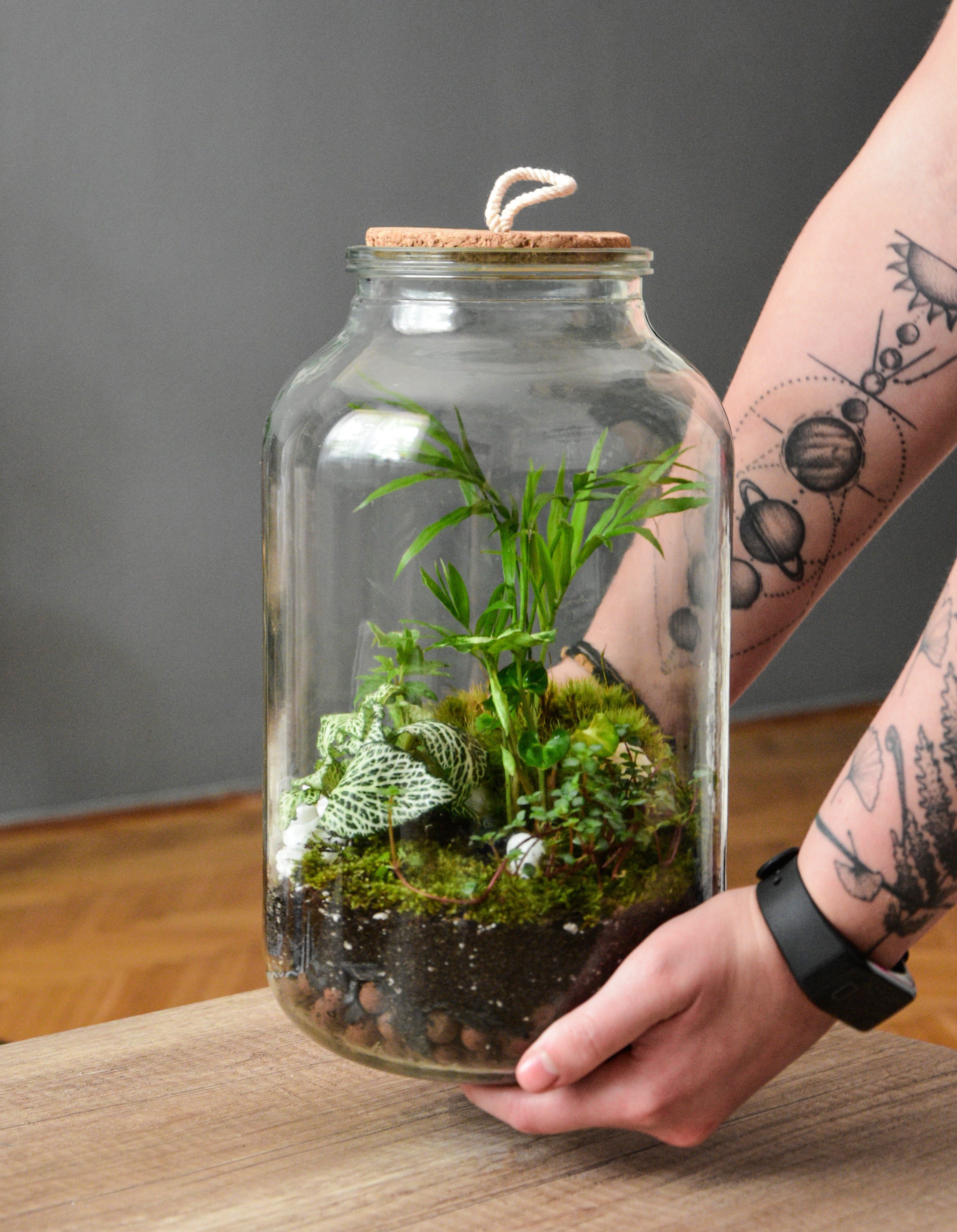 -Workshop Terrarium maken en verzorgen (24/01) - Foto