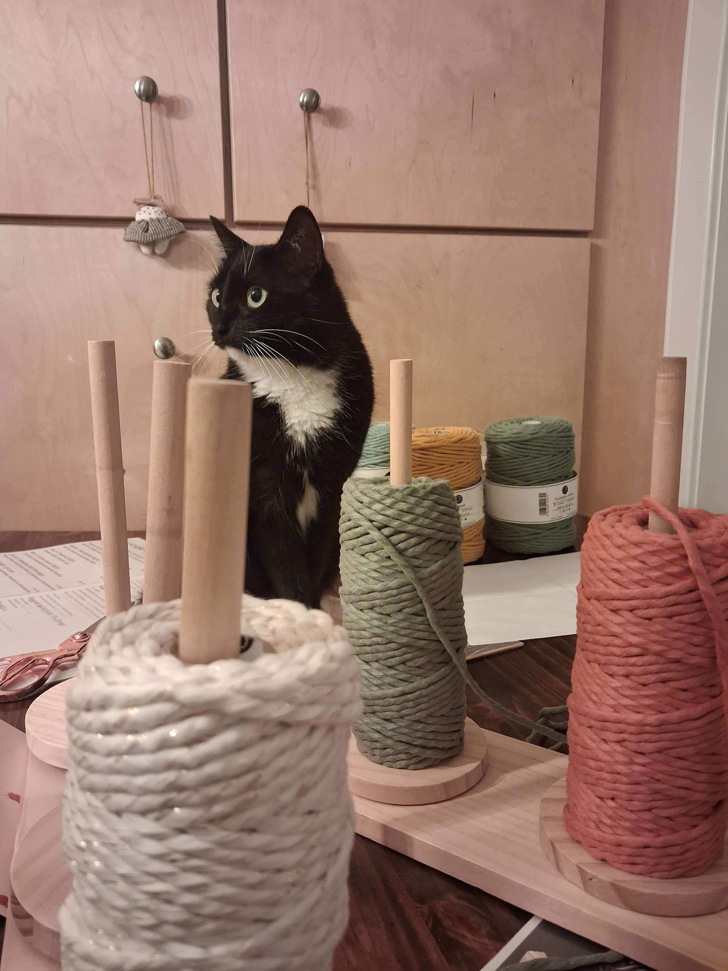 Macramé & Katjes – knoop een knusse hangmand voor je kat 🐾🧶🌸 - Foto