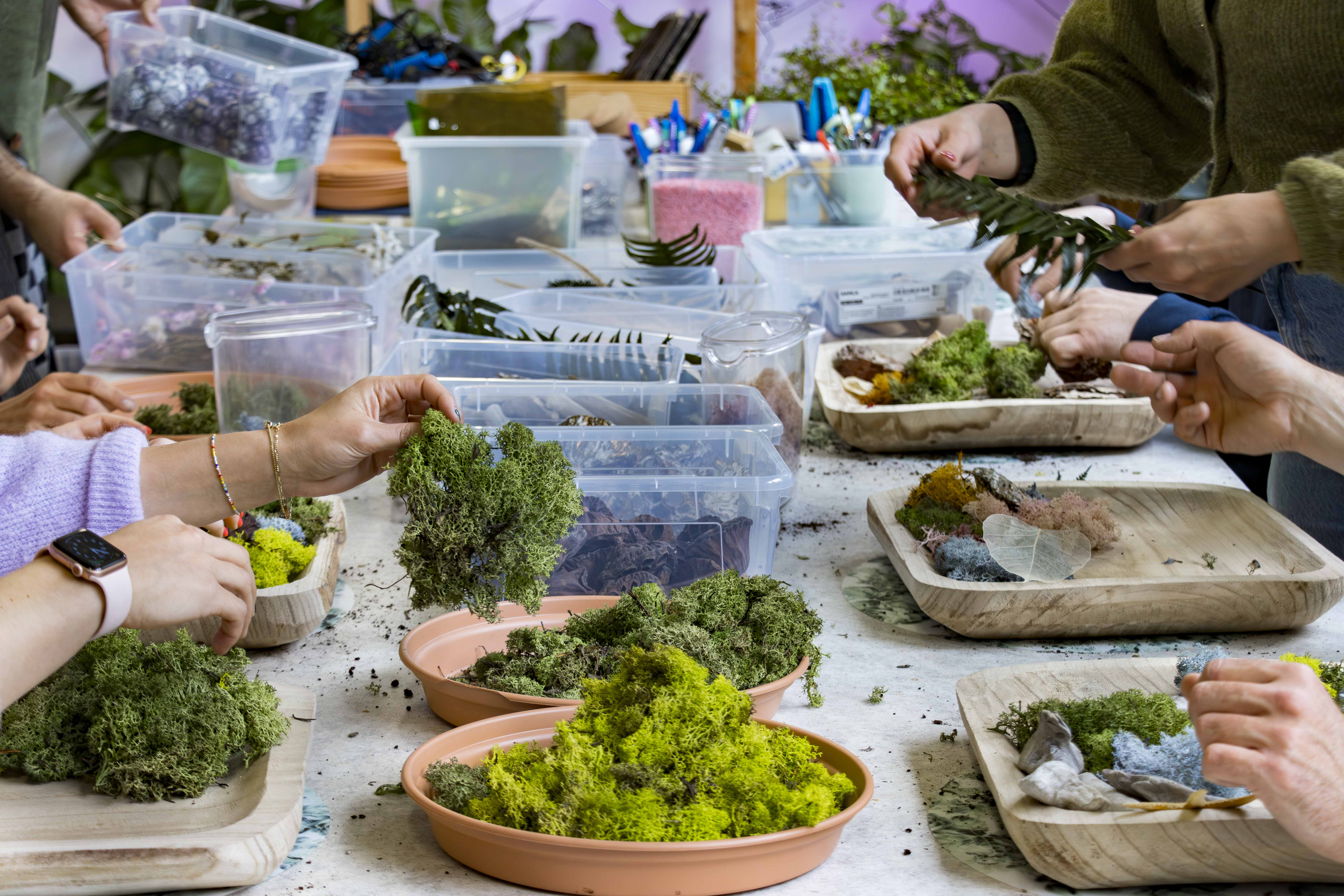 Workshop bouw je eigen moswand 🪴 - Foto