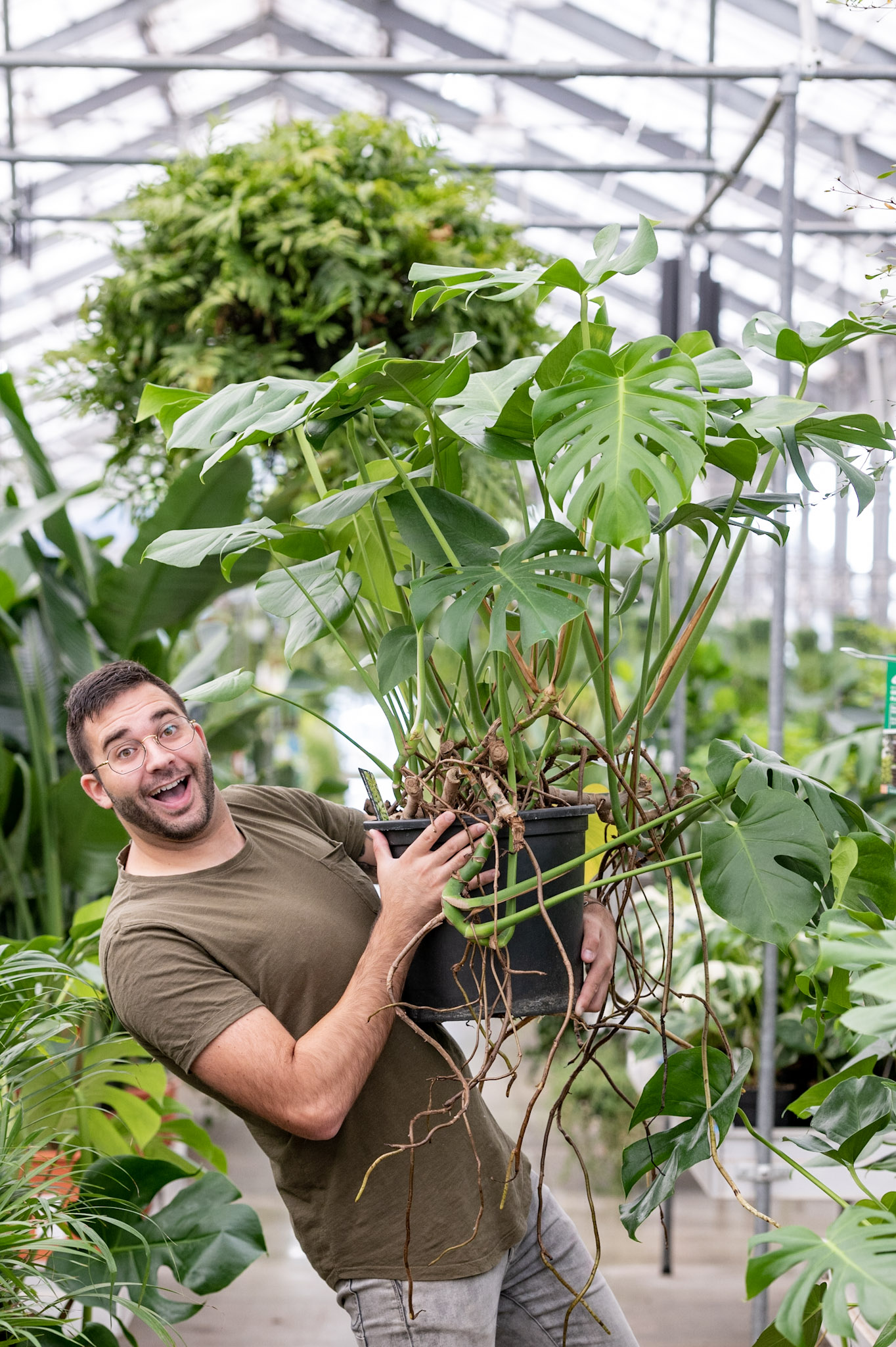 Workshop Kamerplanten verzorgen en verpotten - een complete basis