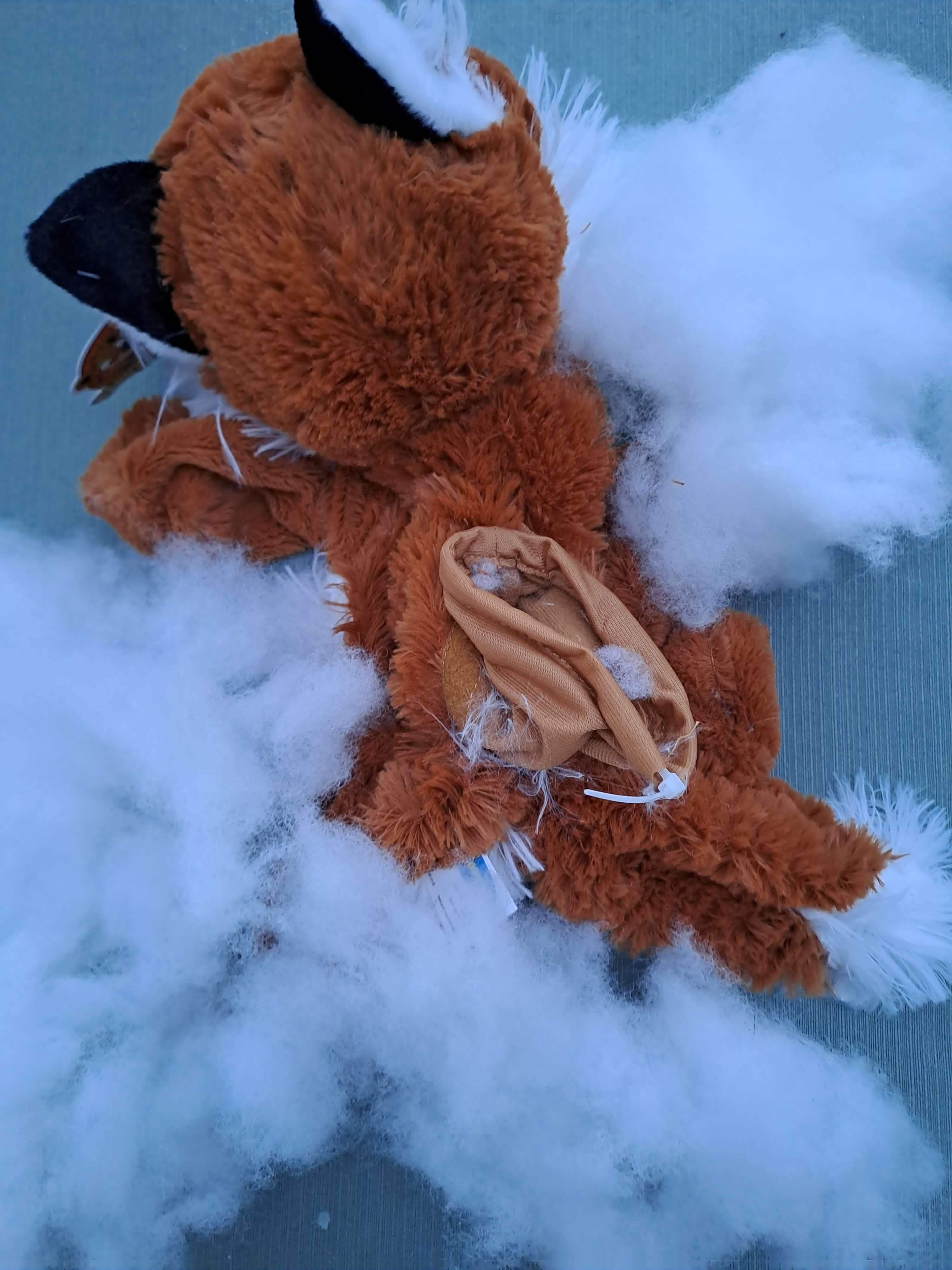 Vul je knuffelbeer - Foto