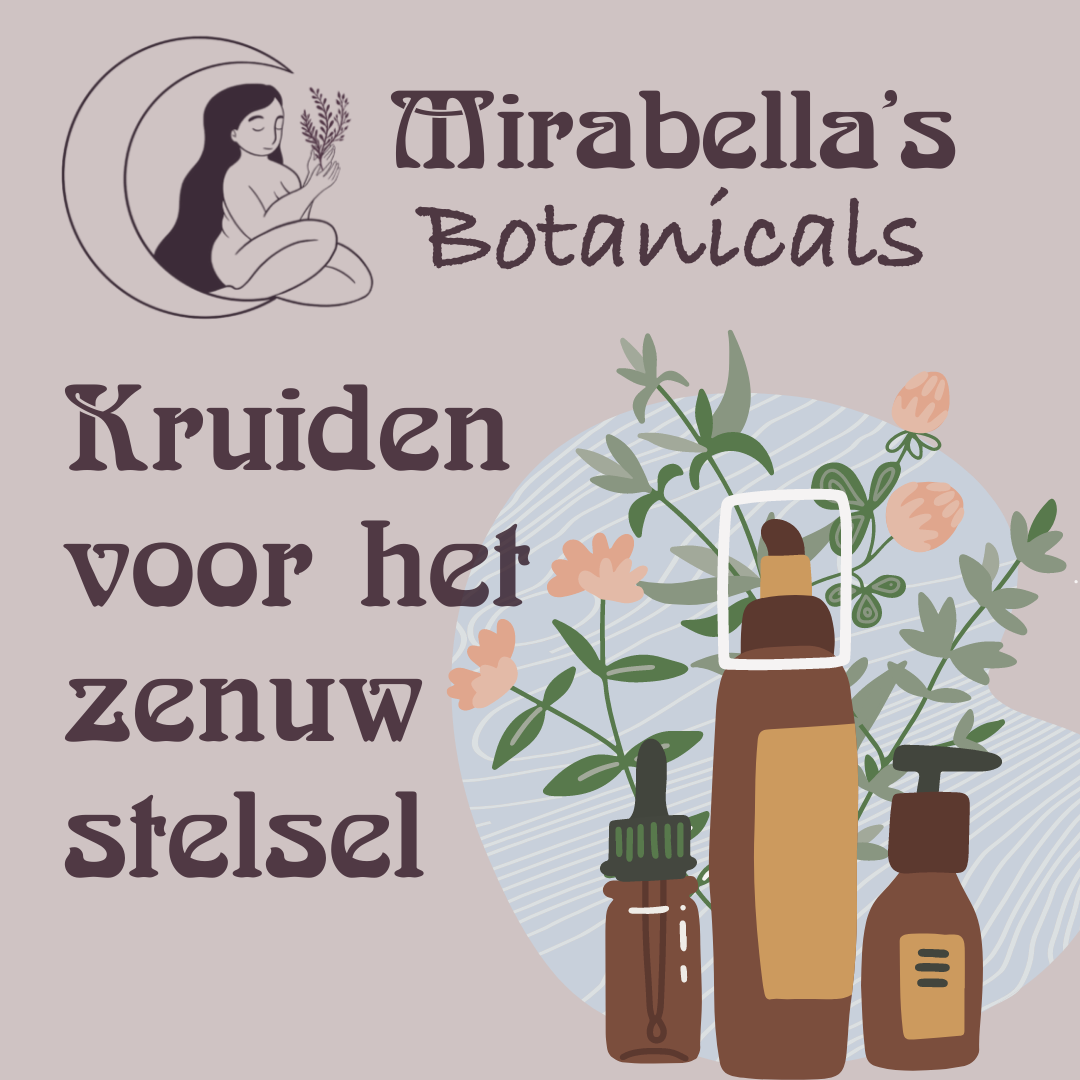 Kruiden voor het Zenuwstelsel