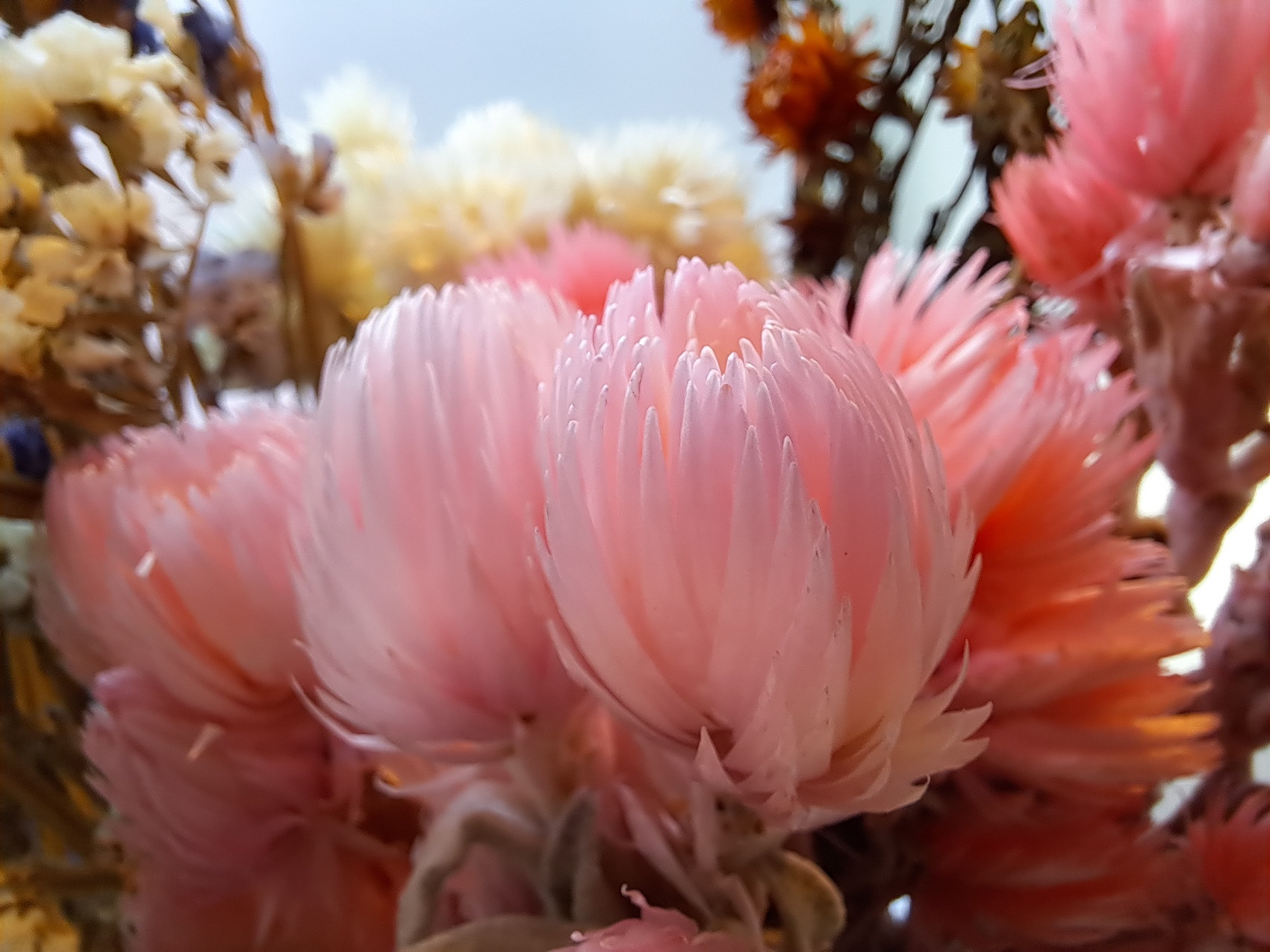 Flowerhoop op voet - Foto