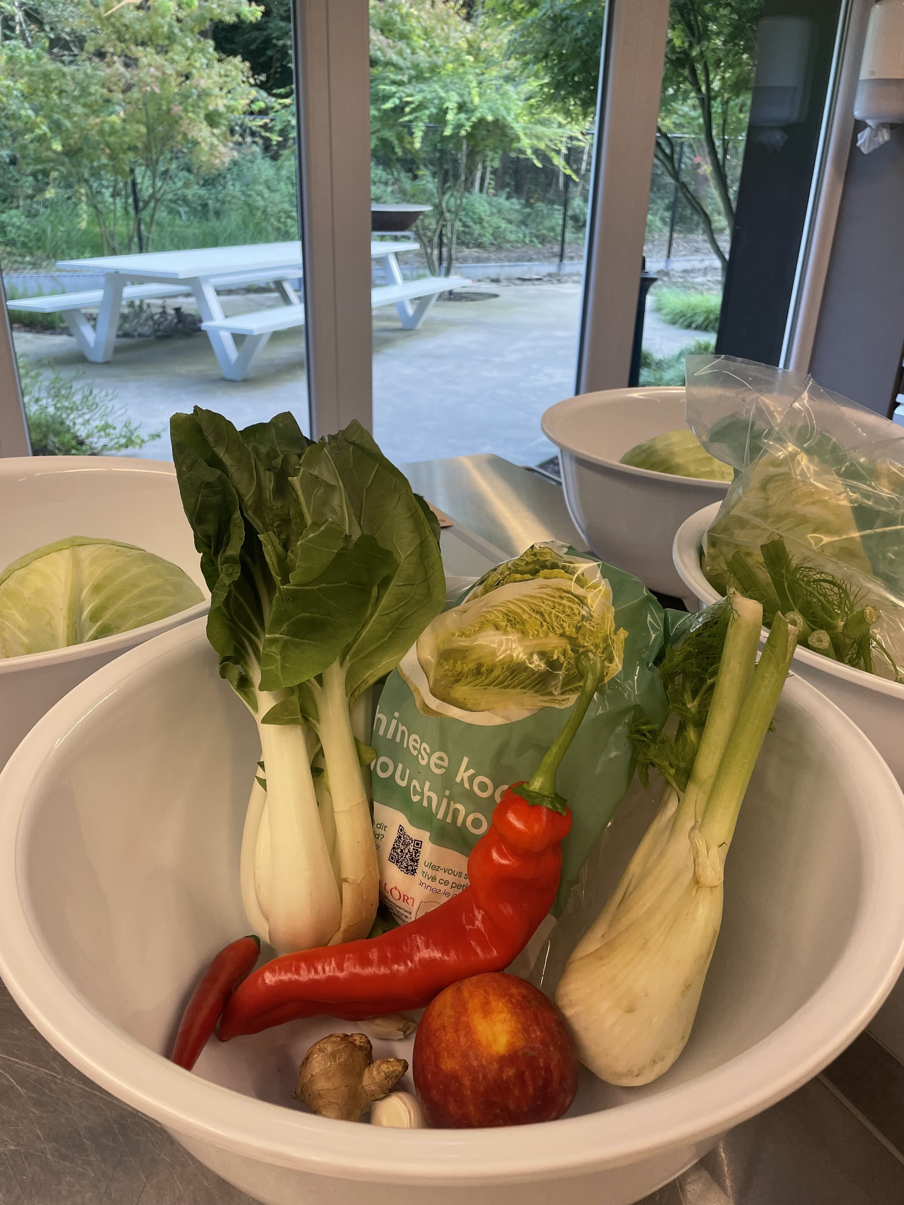 Fermenteren - Bruisende potjes vol kleur - Foto