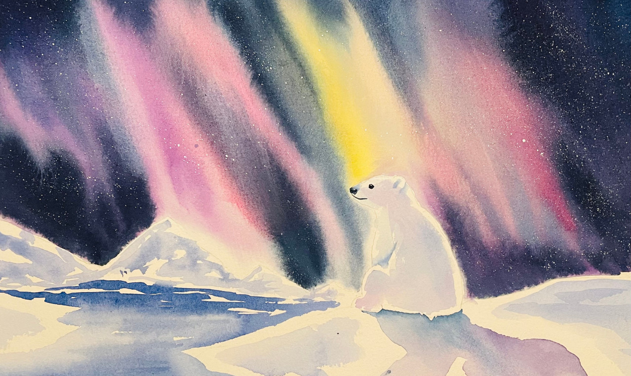 Workshop aquarel: Noorderlicht - Foto