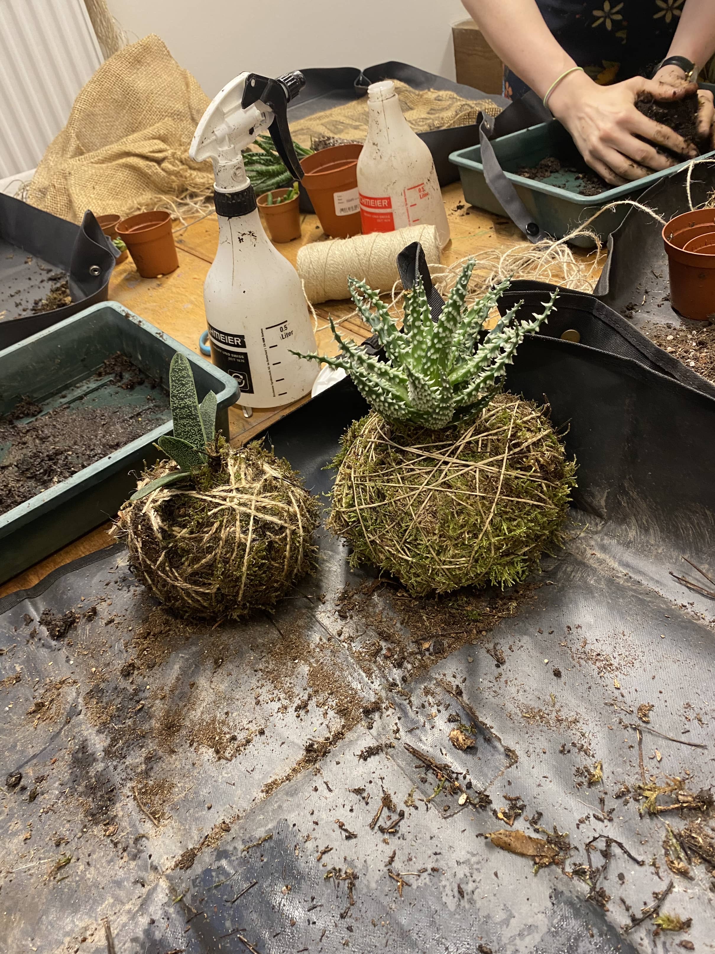 Workshop Kokedama's maken 🪴 - Foto