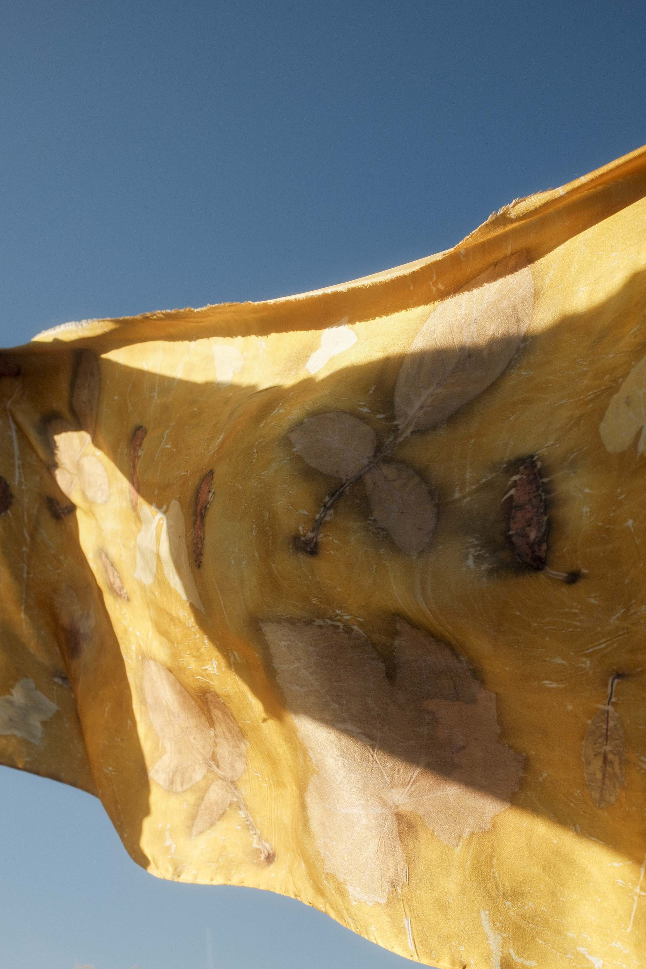 Workshop Ecoprinten: Van planten naar prachtige textielprints - Foto