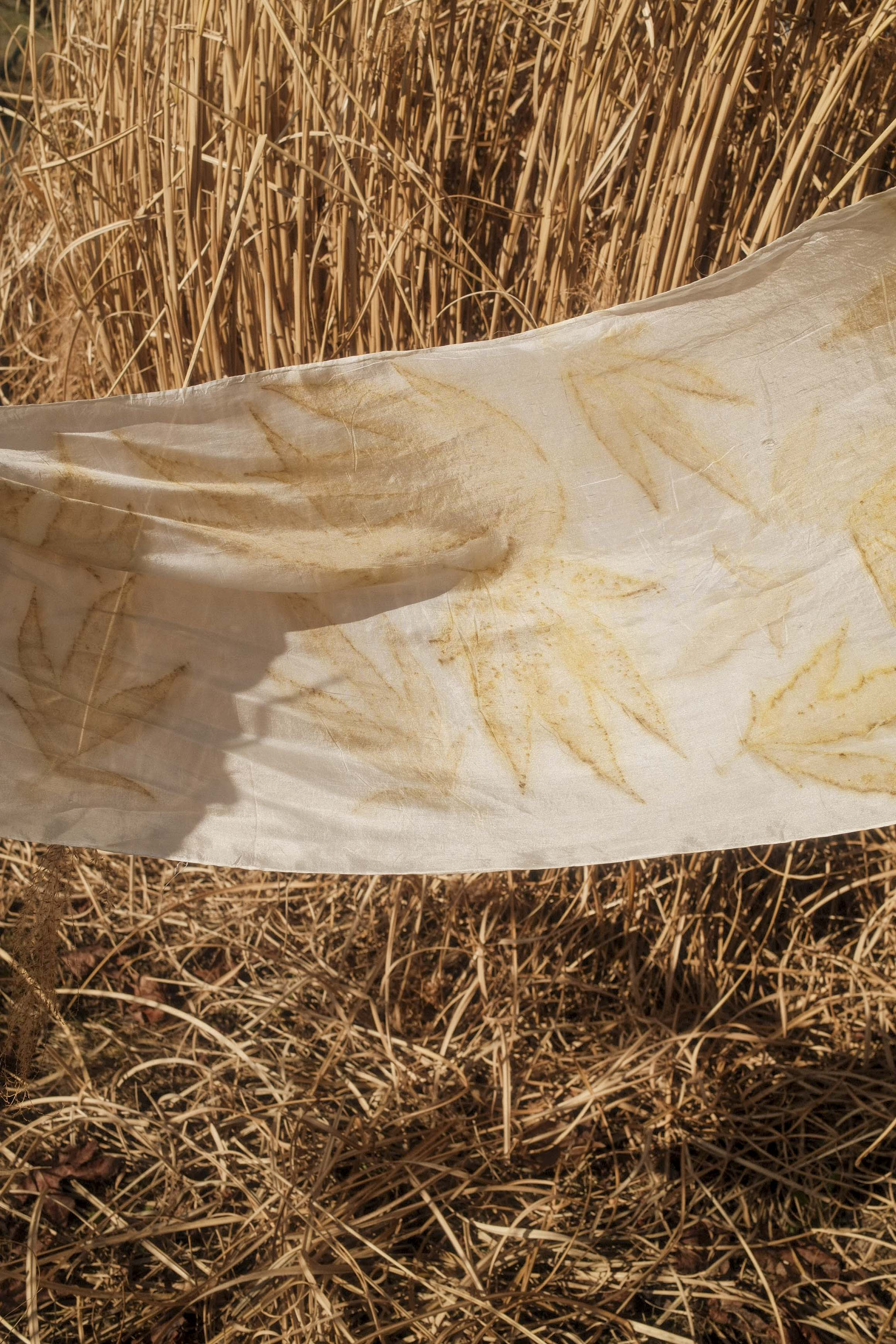 Workshop Ecoprinten: Van planten naar prachtige textielprints - Foto