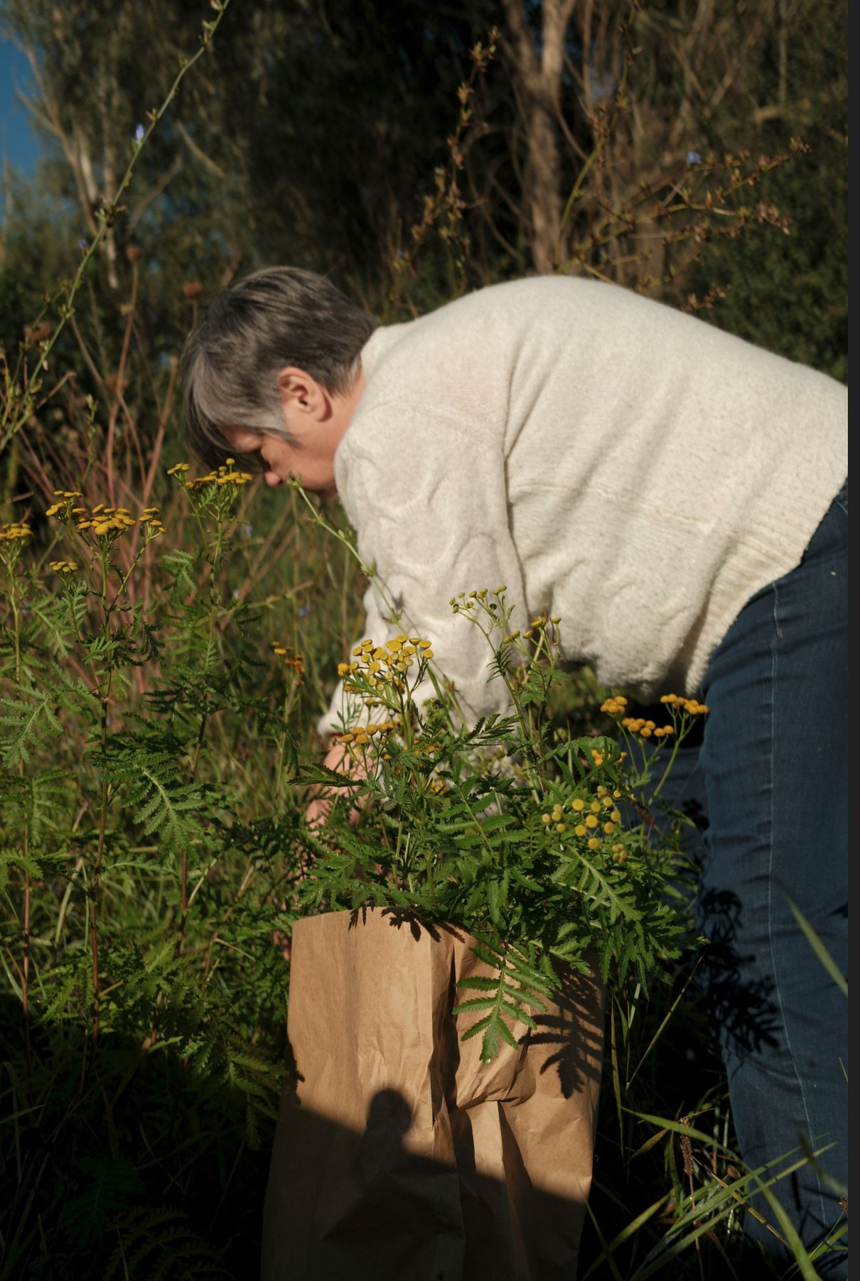 Workshop Plantaardig Verven: Authentieke kleuren, tijdloos Ambacht - Foto