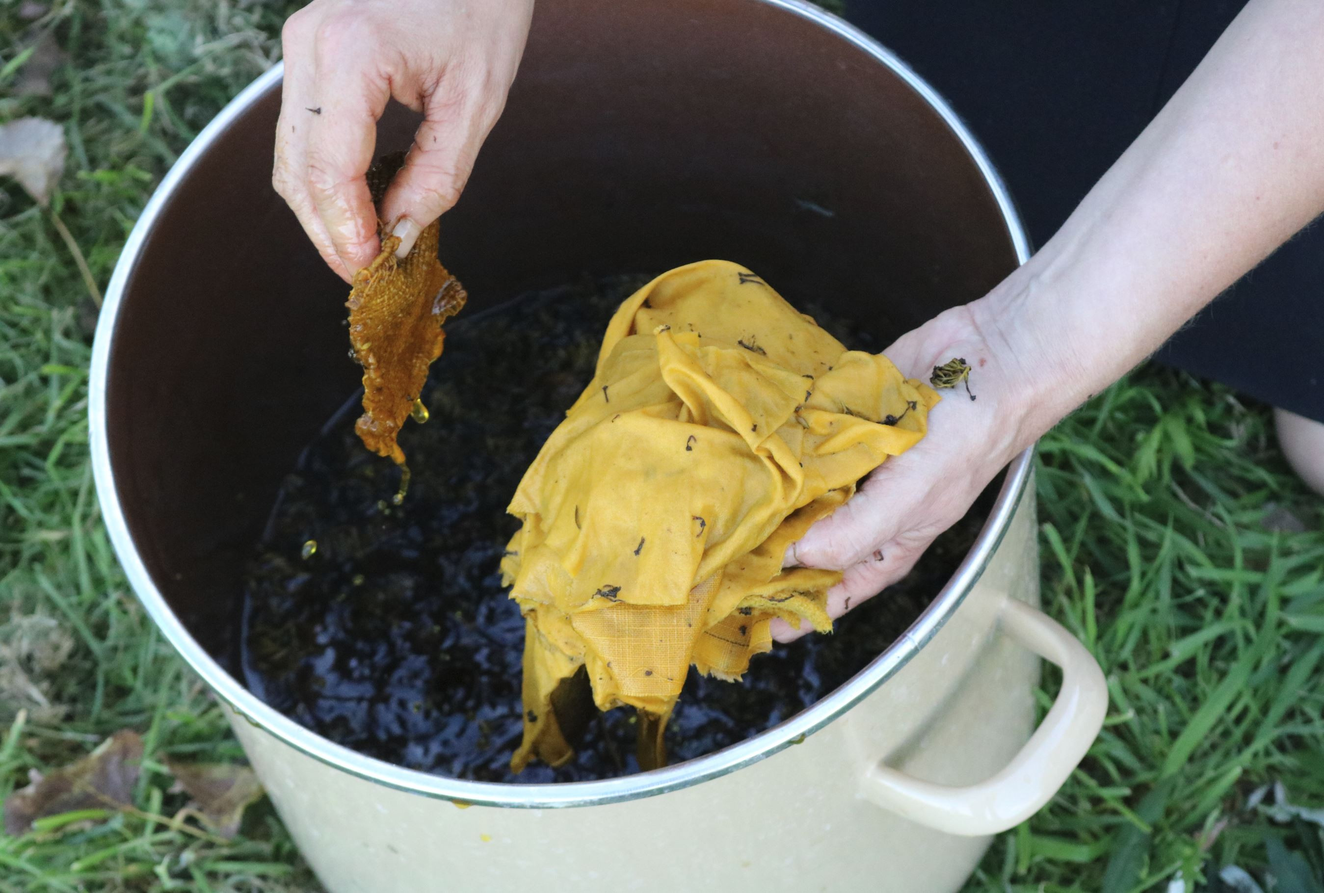 Workshop Plantaardig Verven: Authentieke kleuren, tijdloos Ambacht - Foto