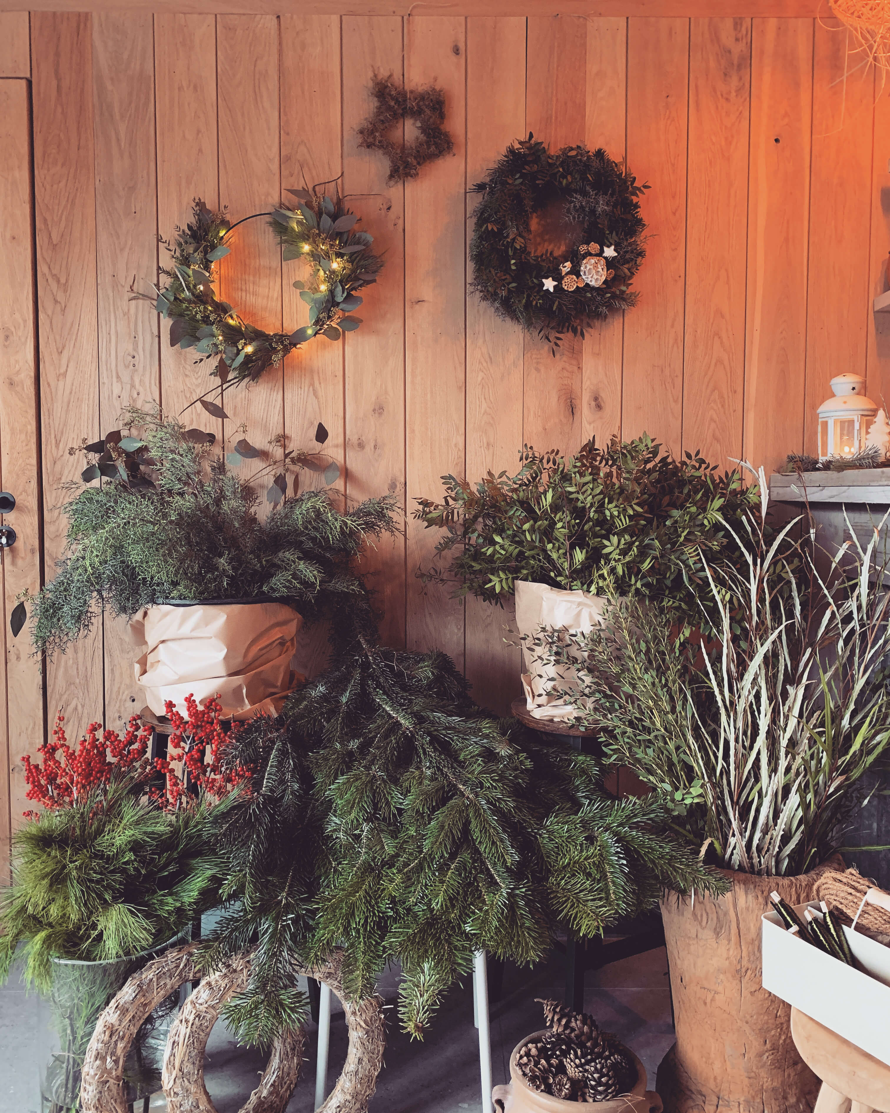 Workshop Kerstkransen @ Jardin d’Hiver – Meise - Foto