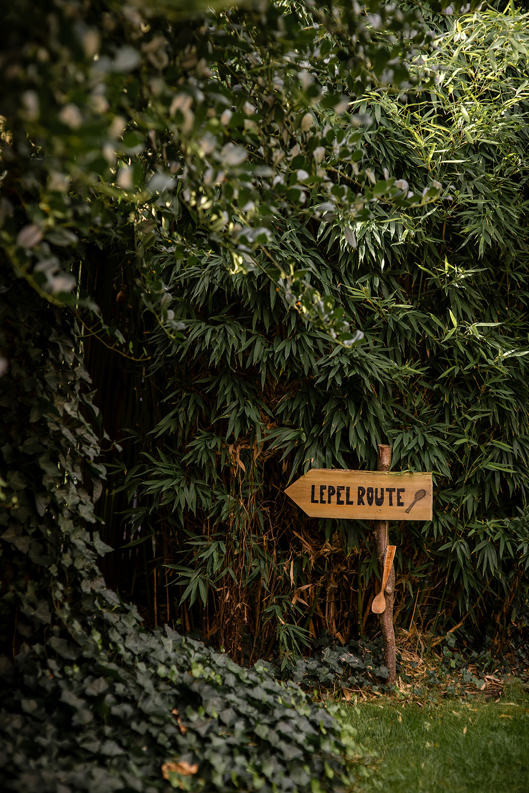 Foto Karen Nachtergaele