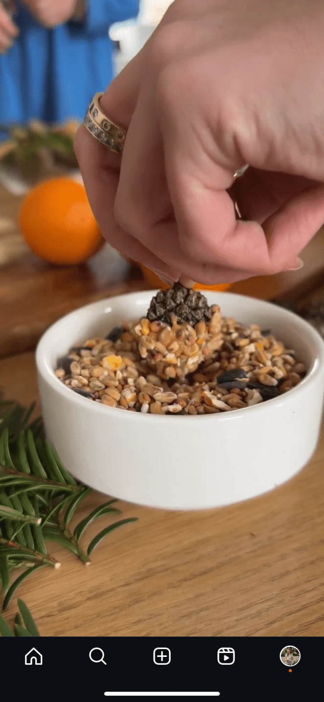 Workshop: Vogel Voeder Krans Maken 🐦 - Foto