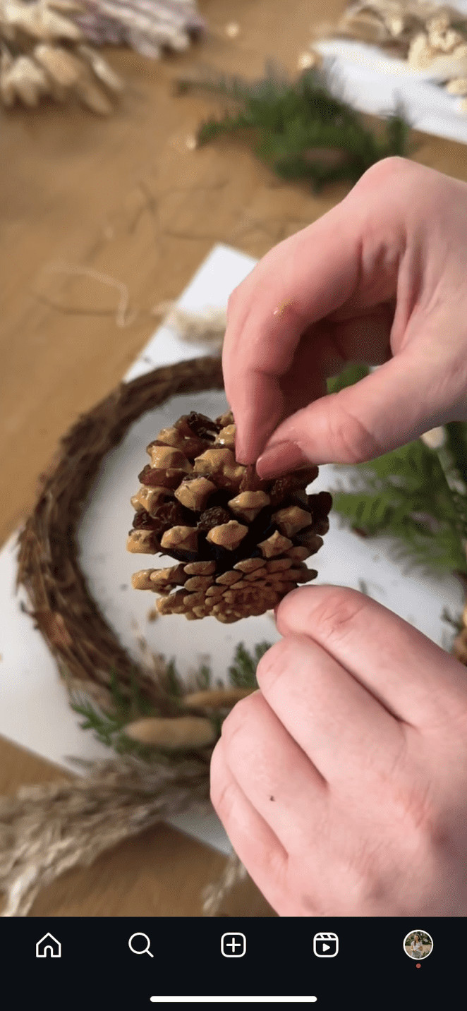 Workshop: Vogel Voeder Krans Maken 🐦 - Foto