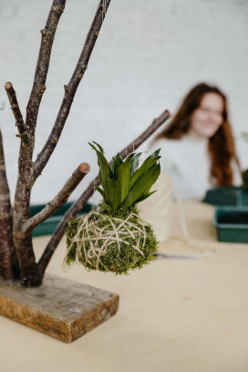 Workshop Kokedama's maken 🪴