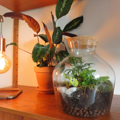 Workshop Zelfvoorzienend Ecosysteem