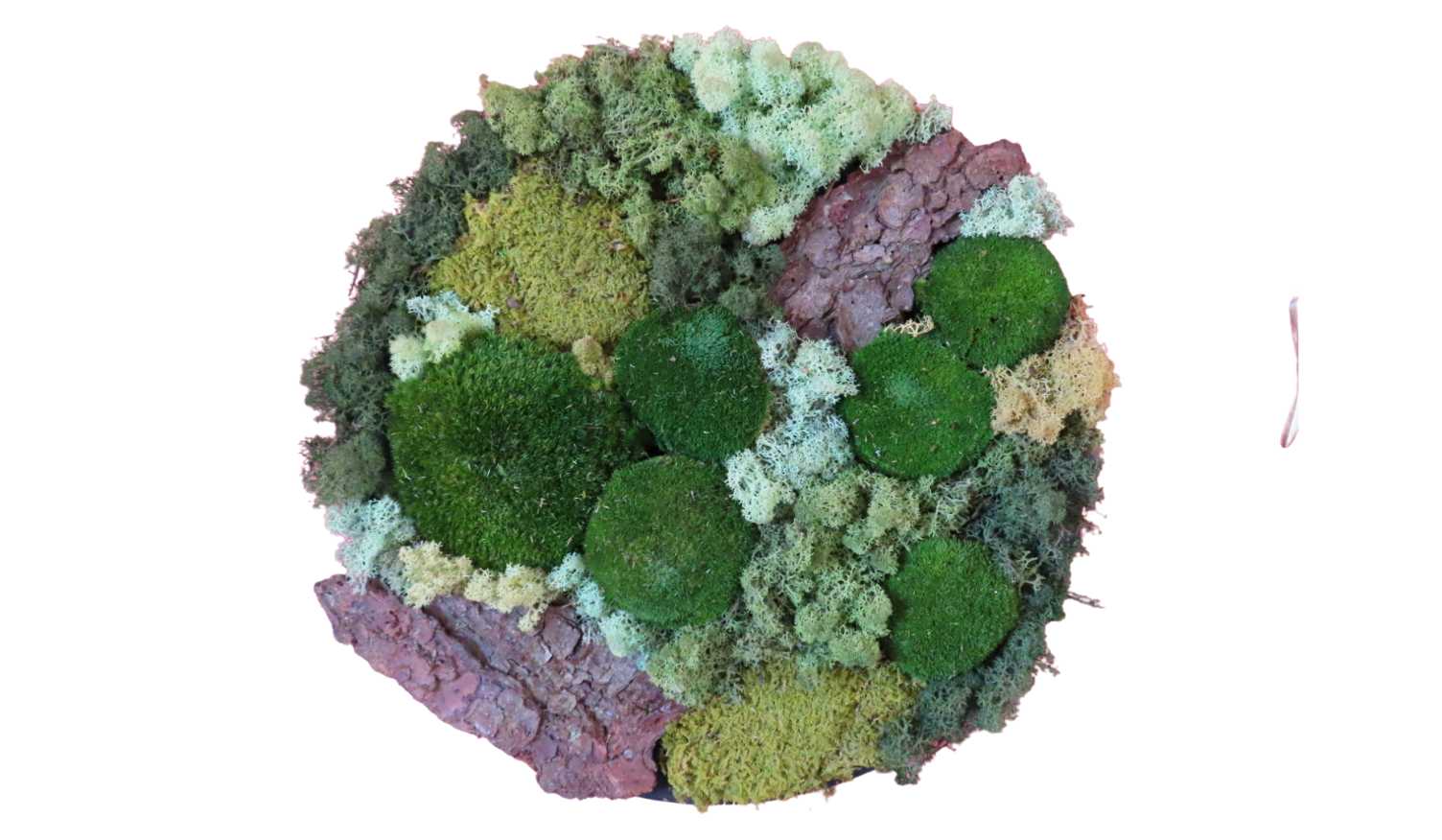 Workshop Moswandje maken - Foto