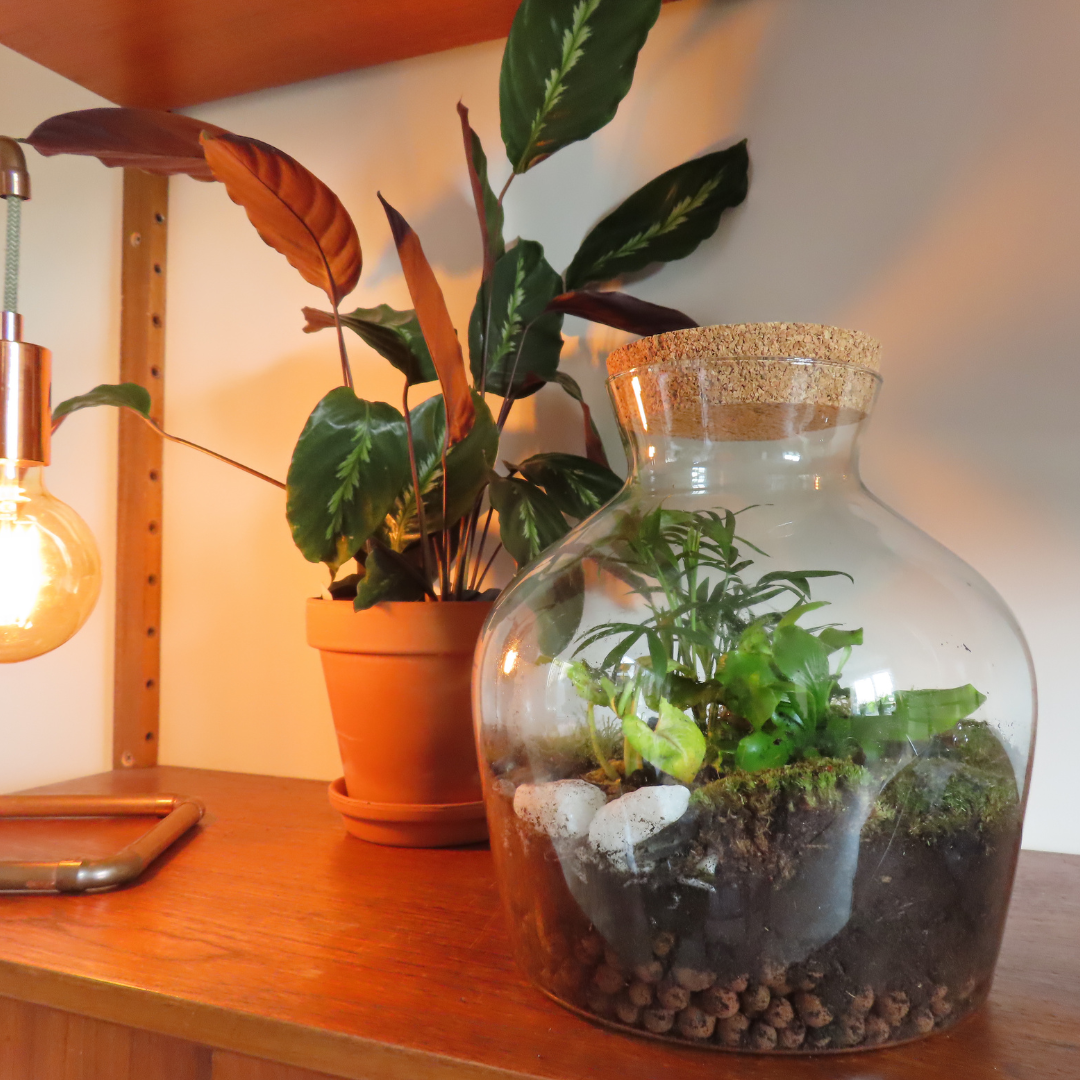 Workshop Zelfvoorzienend Ecosysteem