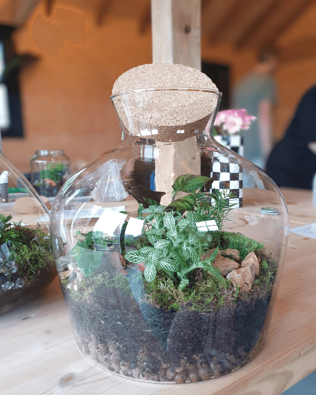 Workshop Zelfvoorzienend Ecosysteem - Foto