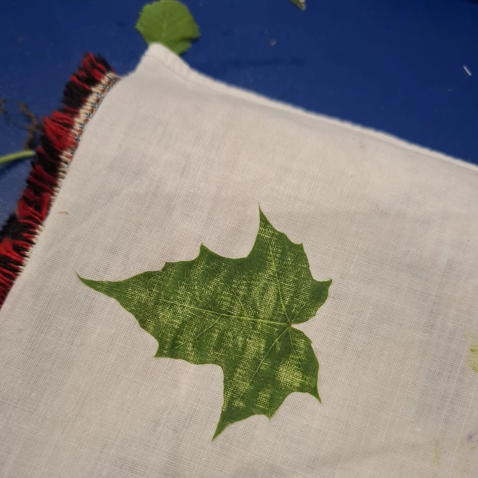 Eco-Crazy-Creakamp bij REST paasvakantie 2026 leeftijd 9 - 13 jaar - Foto