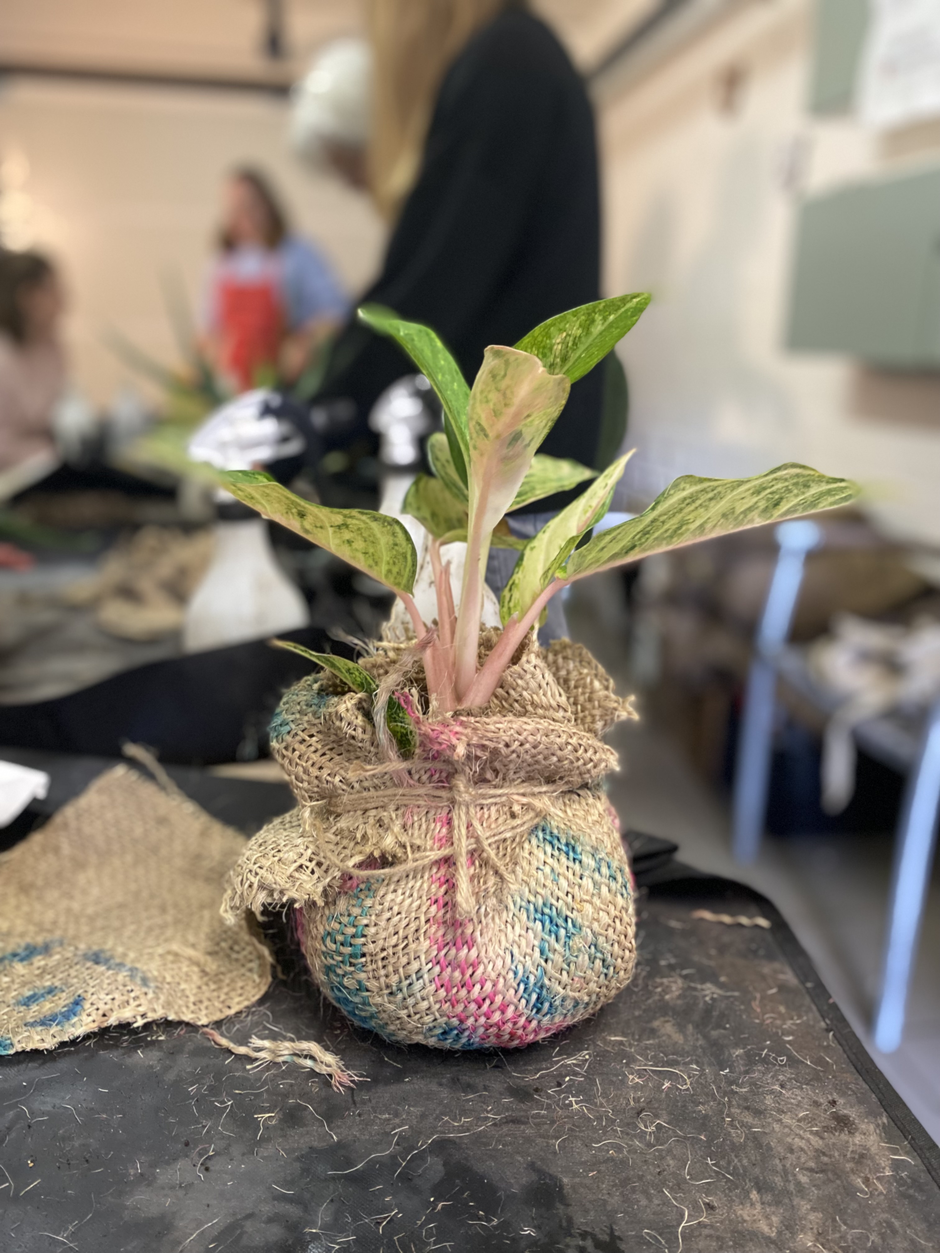 Workshop Kokedama's maken 🪴 - Foto