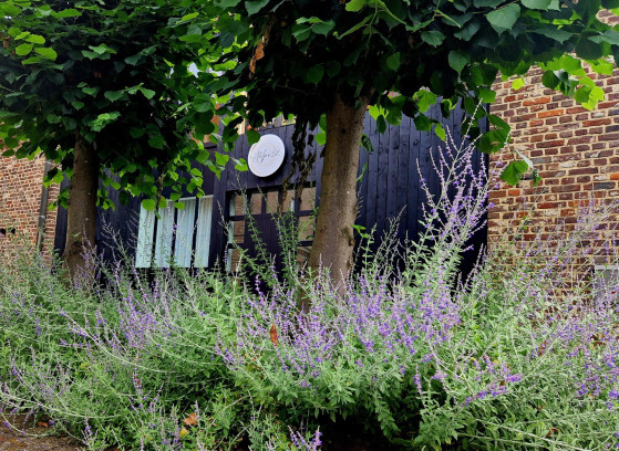 Maak je eigen keramiek fruitschaal! - Foto