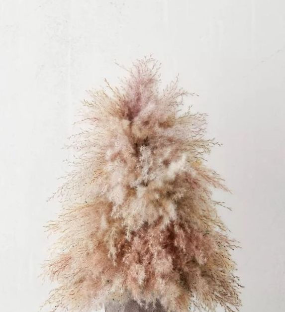 Kerst Whimsical Pampas Kerstboom Workshop - Foto