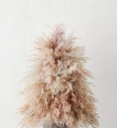 Kerst Whimsical Pampas Kerstboom Workshop