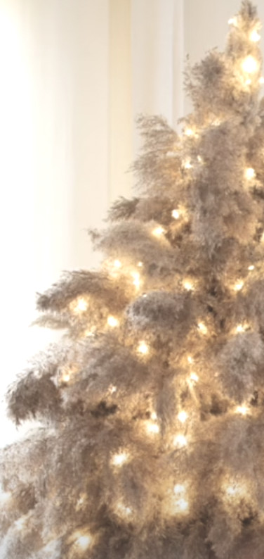 Kerst Whimsical Pampas Kerstboom Workshop - Foto