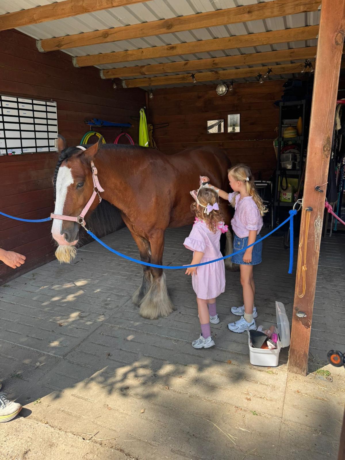Kinderfeestje met paarden - Foto