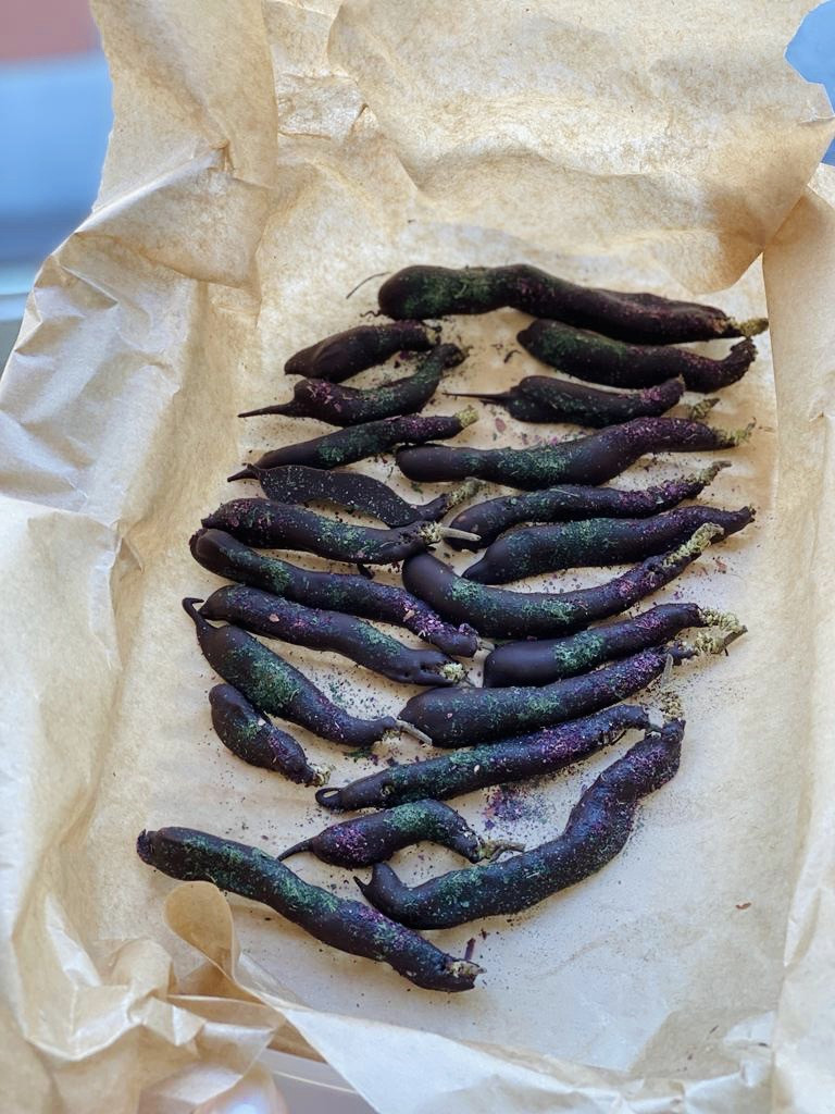 Wildpluk & Workshop DIY Voorjaarsvitaliteit - Foto