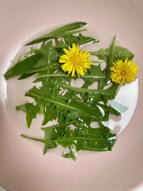 Wildpluk & Workshop DIY Voorjaarsvitaliteit - Foto