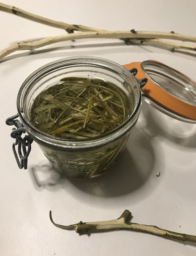 Wildpluk & Workshop DIY Voorjaarsvitaliteit - Foto