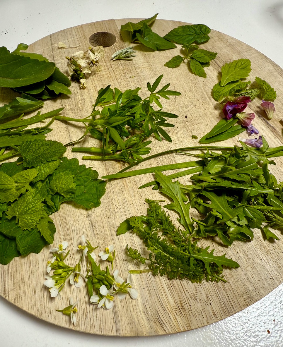 Wildpluk Workshop Deel 1 DIY Voorjaarsvitaliteit