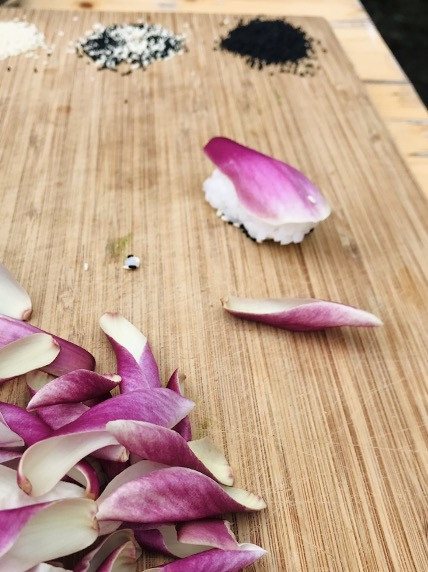 Wildpluk Workshop Deel 2 DIY Voorjaarsvitaliteit - Foto