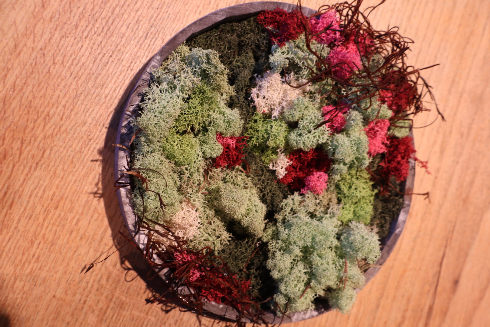 Moswand workshop - Foto