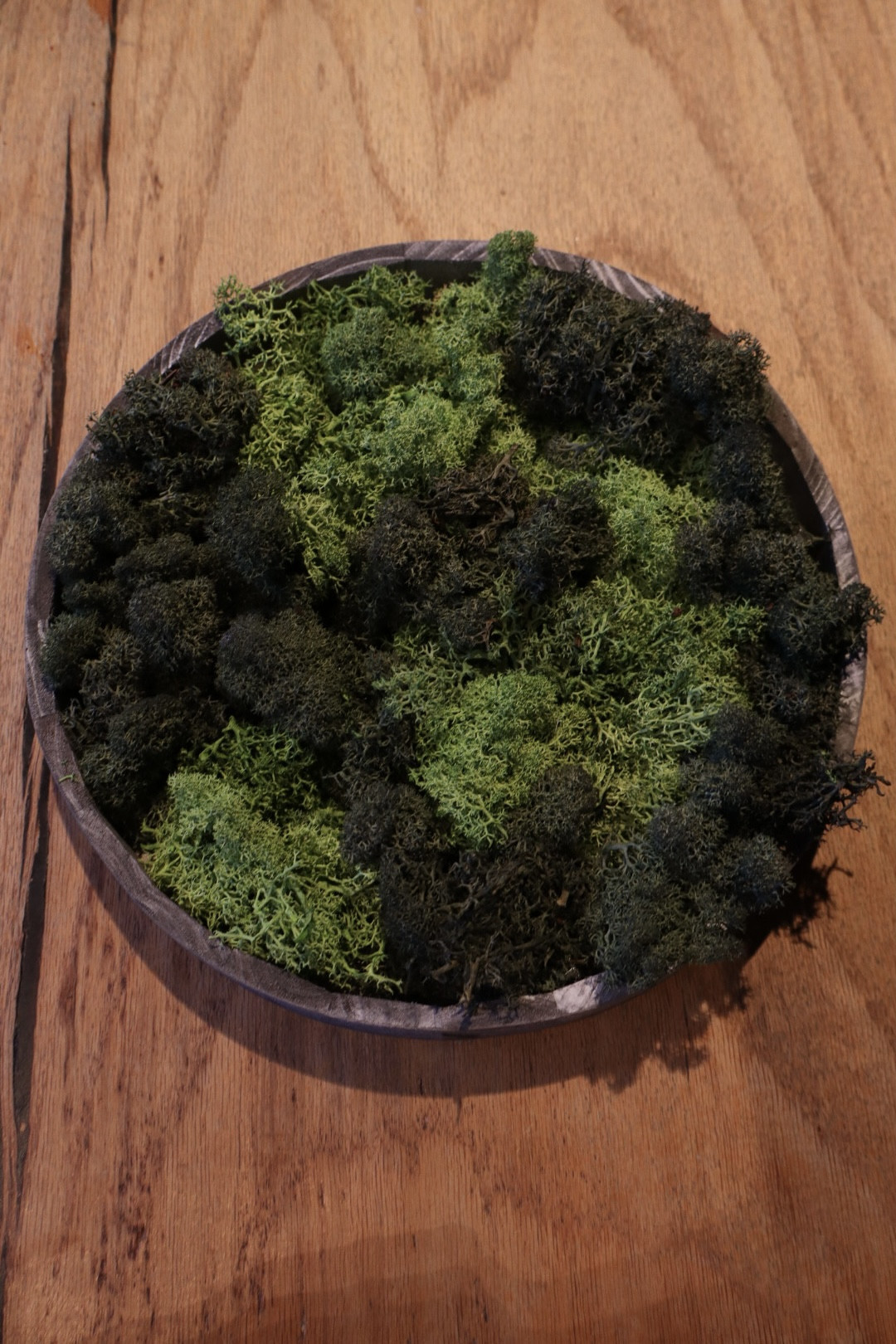 Moswand workshop - Foto