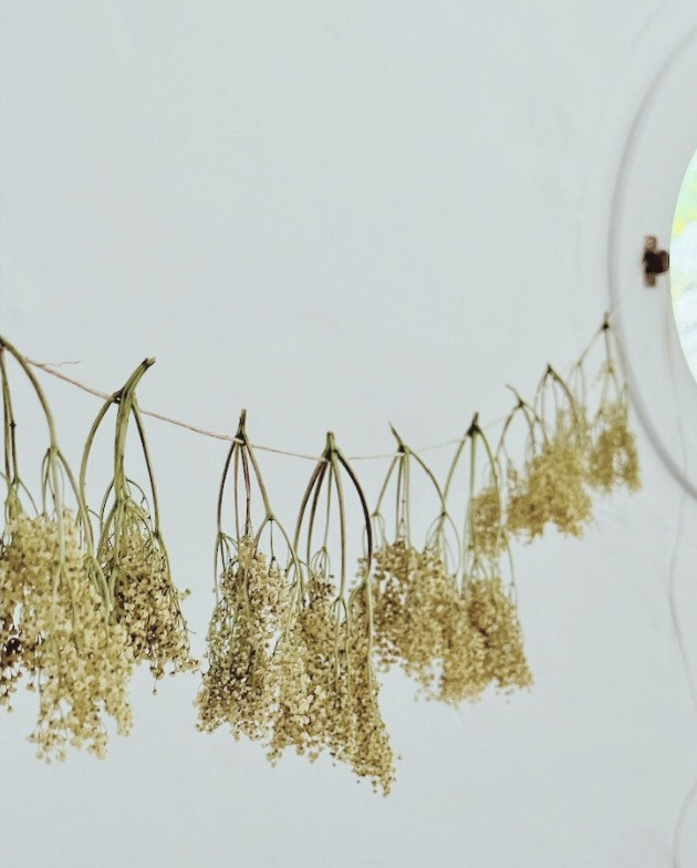 Wildpluk Workshop Deel 2 DIY Voorjaarsvitaliteit - Foto