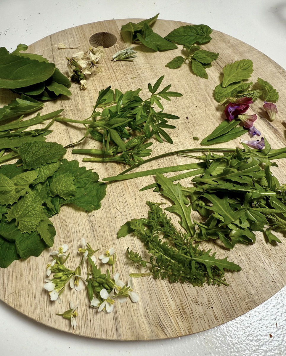 Kruidenworkshop Voorjaarsvitaliteit Deel 2 - Foto