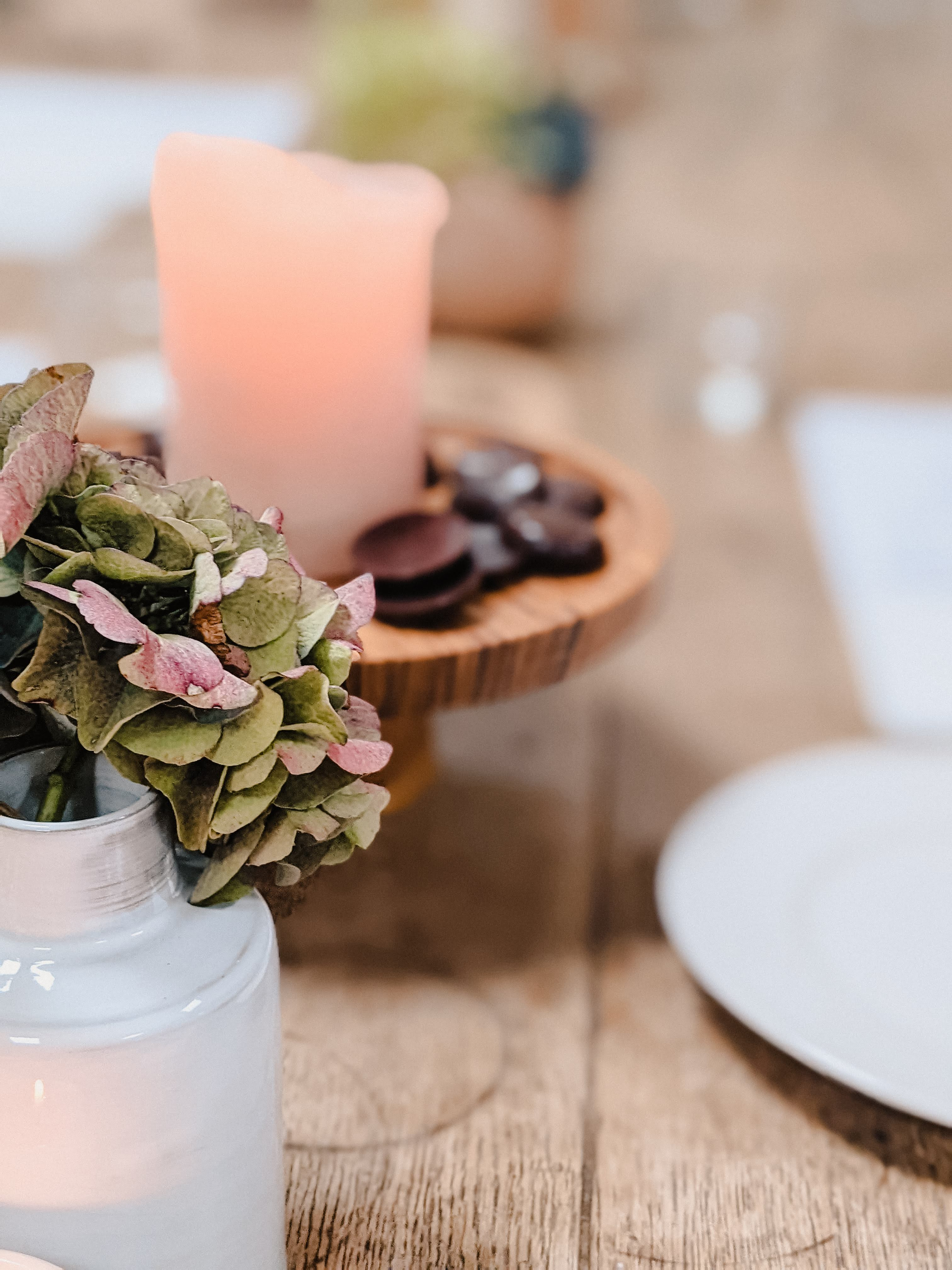 Workshop Aquarel 'Botanical Line-art' - Foto