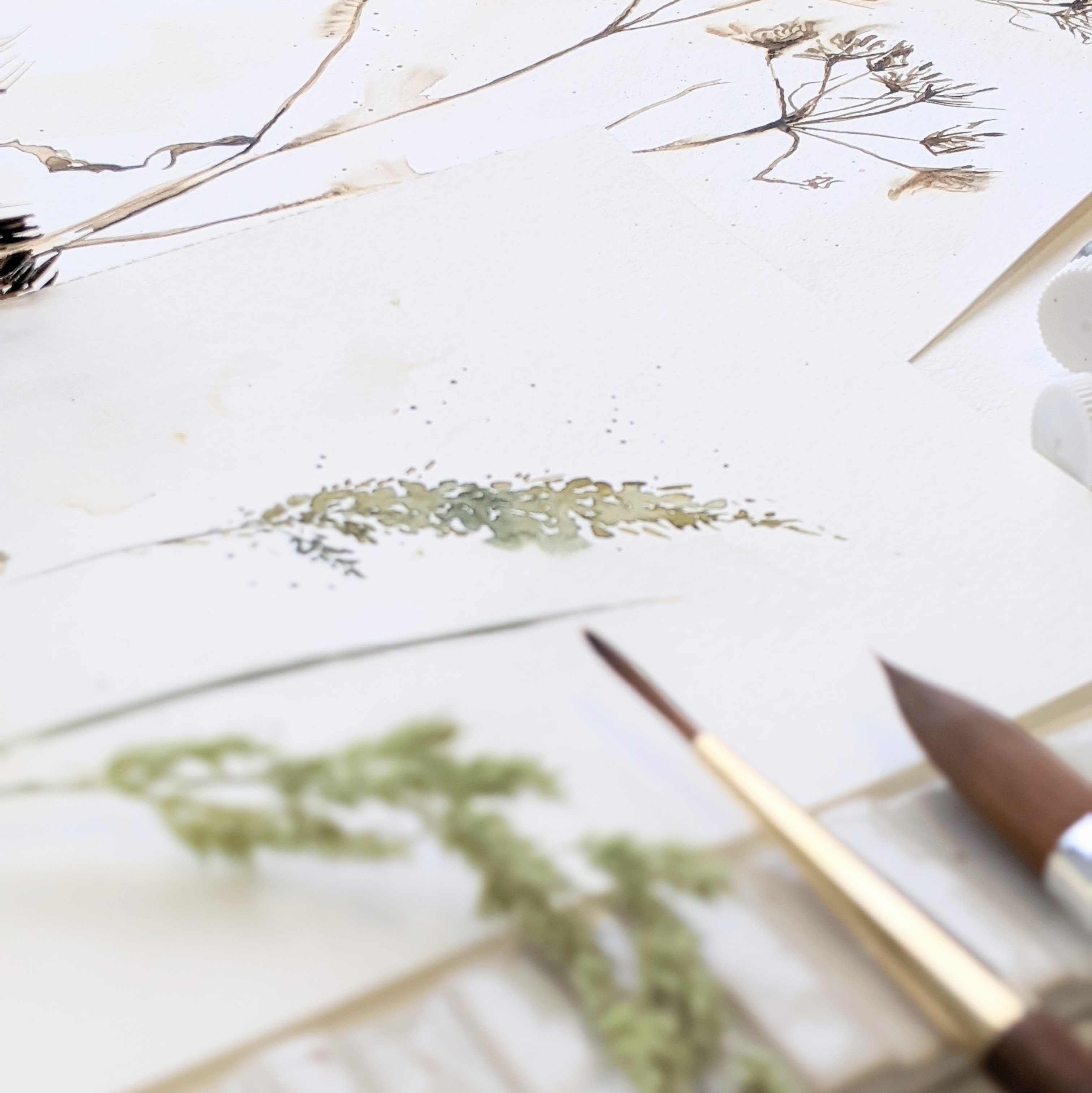 Workshop Aquarel 'Botanical Line-art'