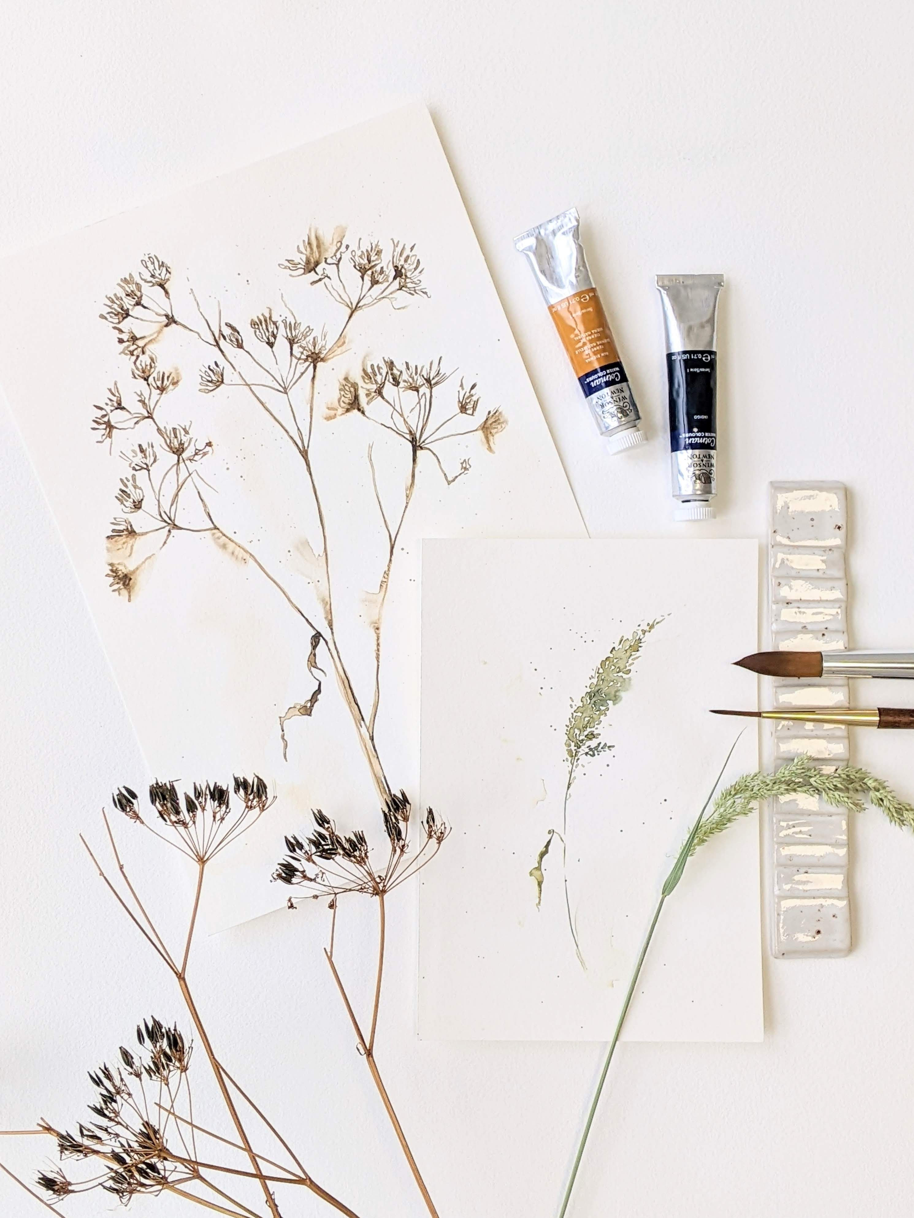 Workshop Aquarel 'Botanical Line-art' - Foto