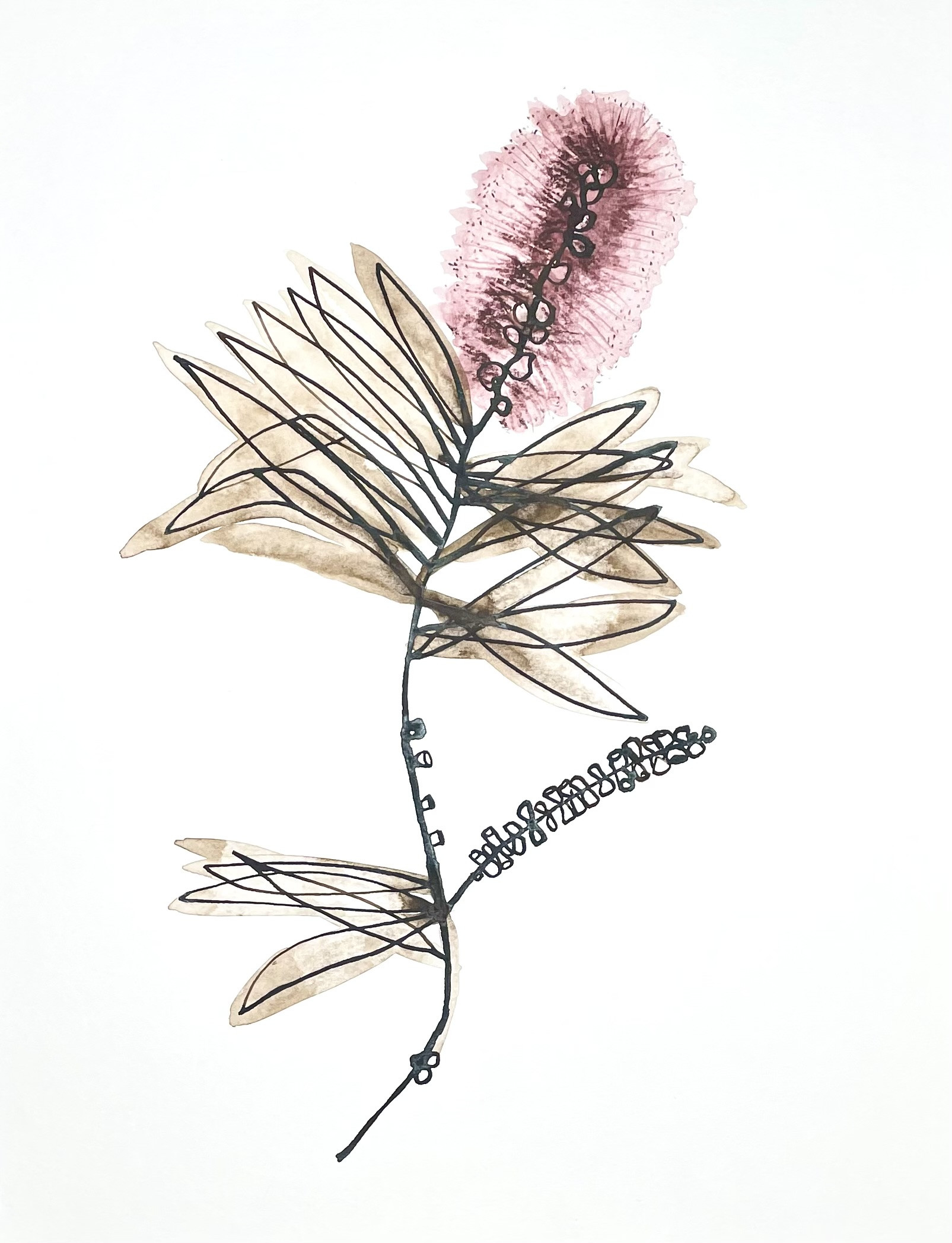 Big Botanicals - Foto