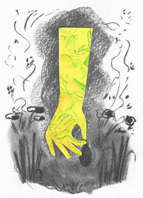 Experimenteren met collage - Foto