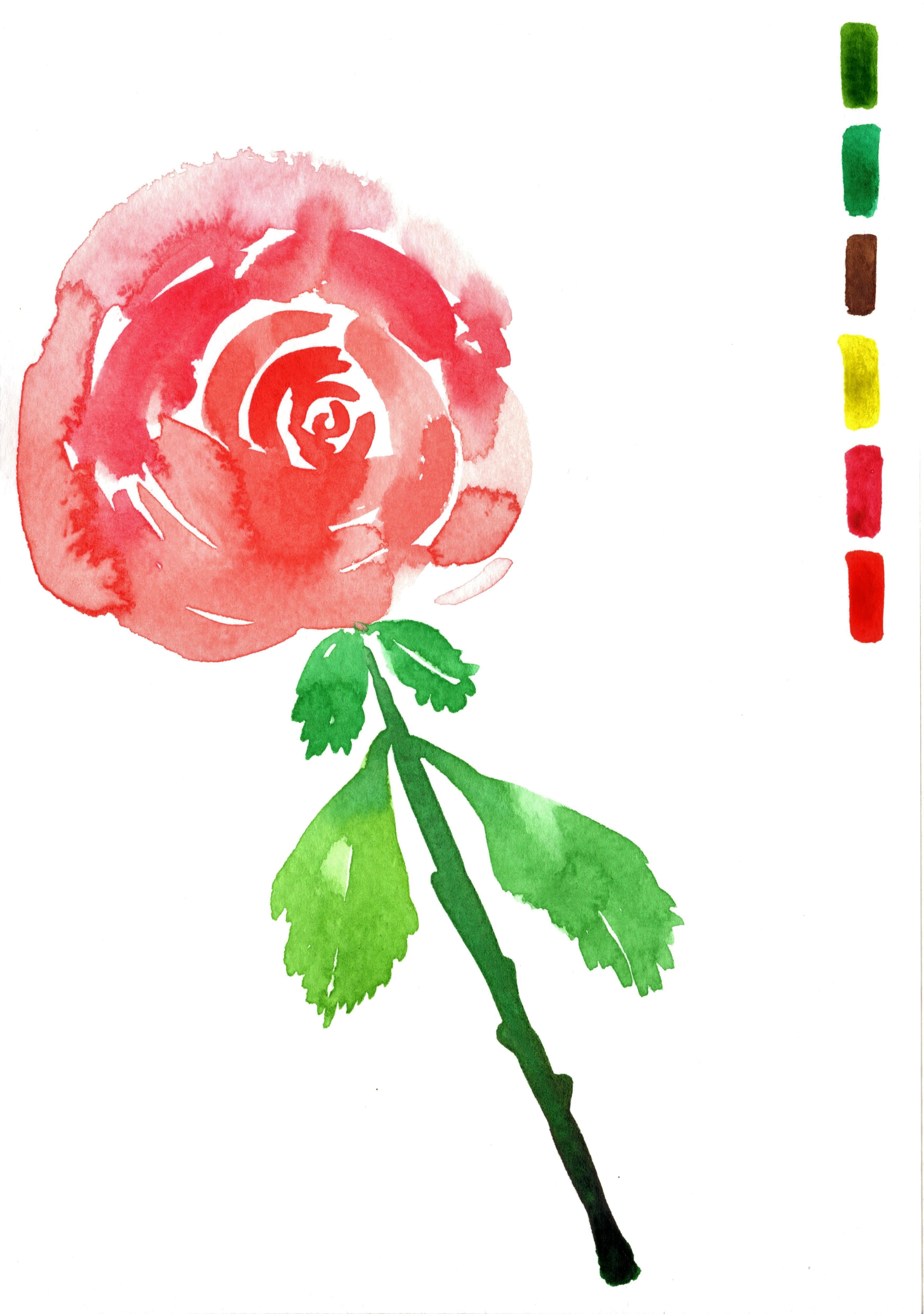 Bloemen met aquarel - Foto