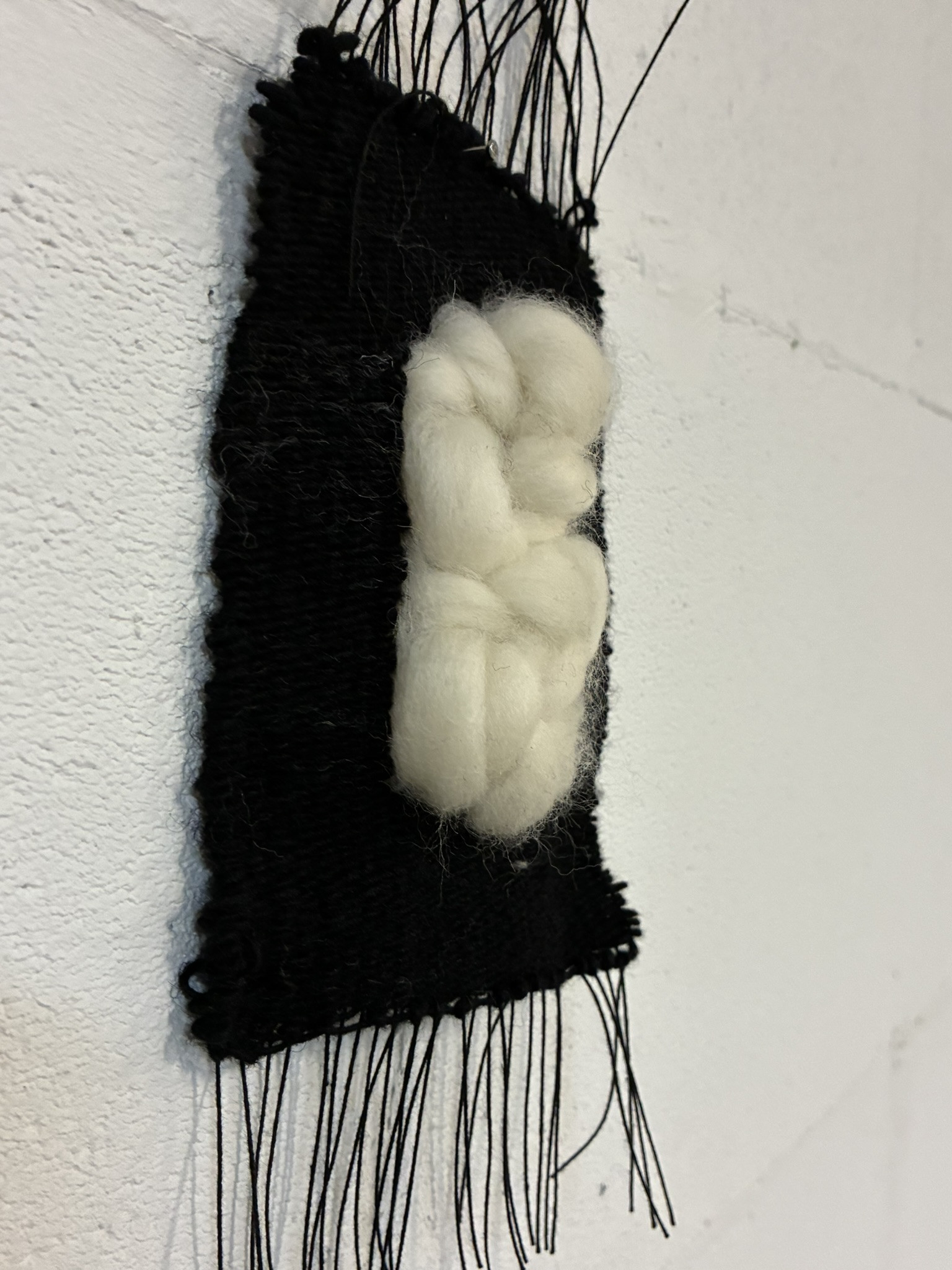 De kunst van het contrast:  Weven in Black & White - Foto