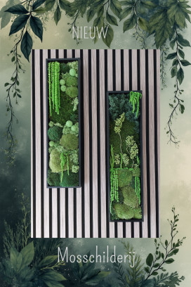 Workshop Powertex 'mosschilderij'