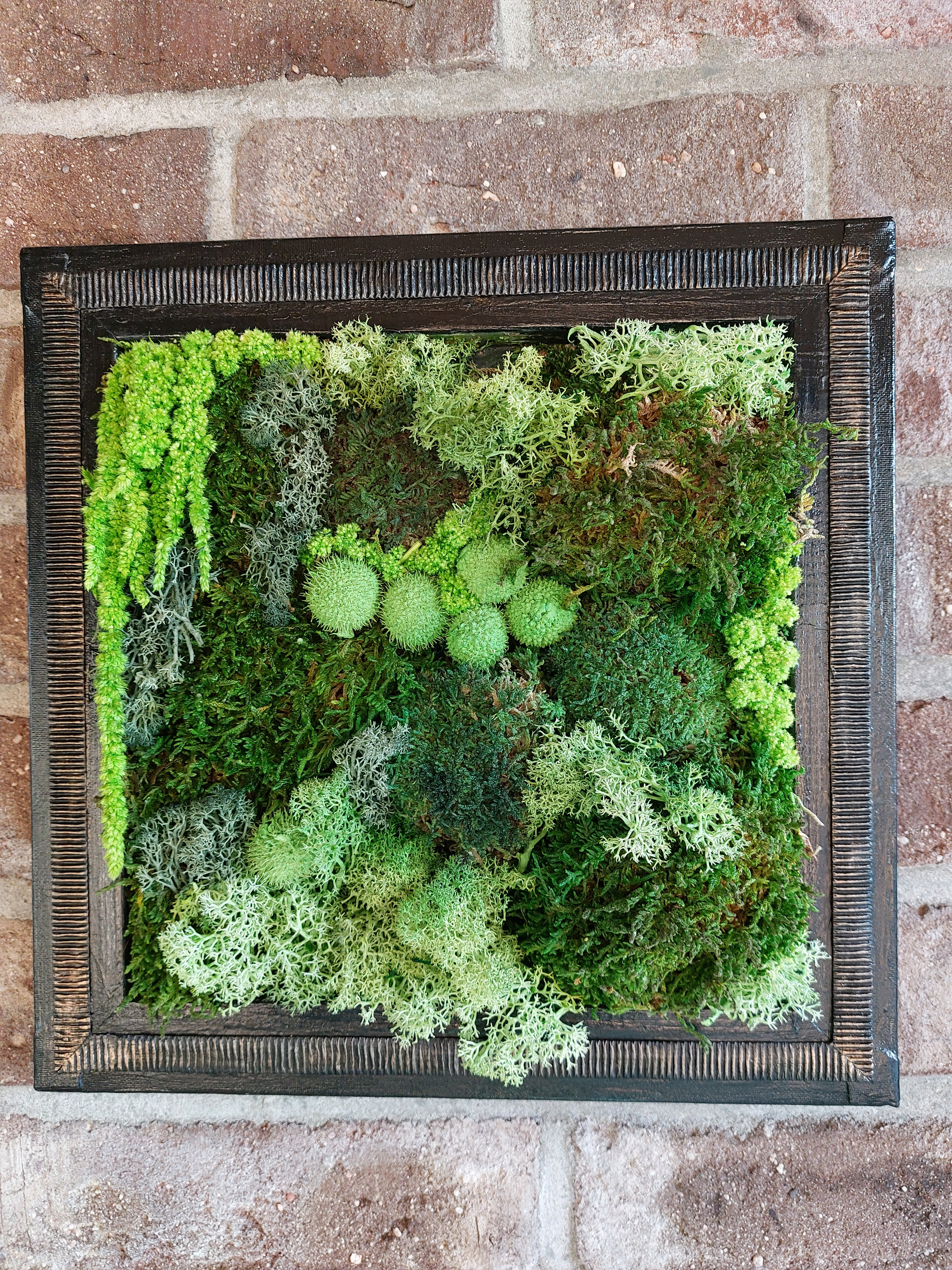 Workshop Powertex 'mosschilderij' - Foto