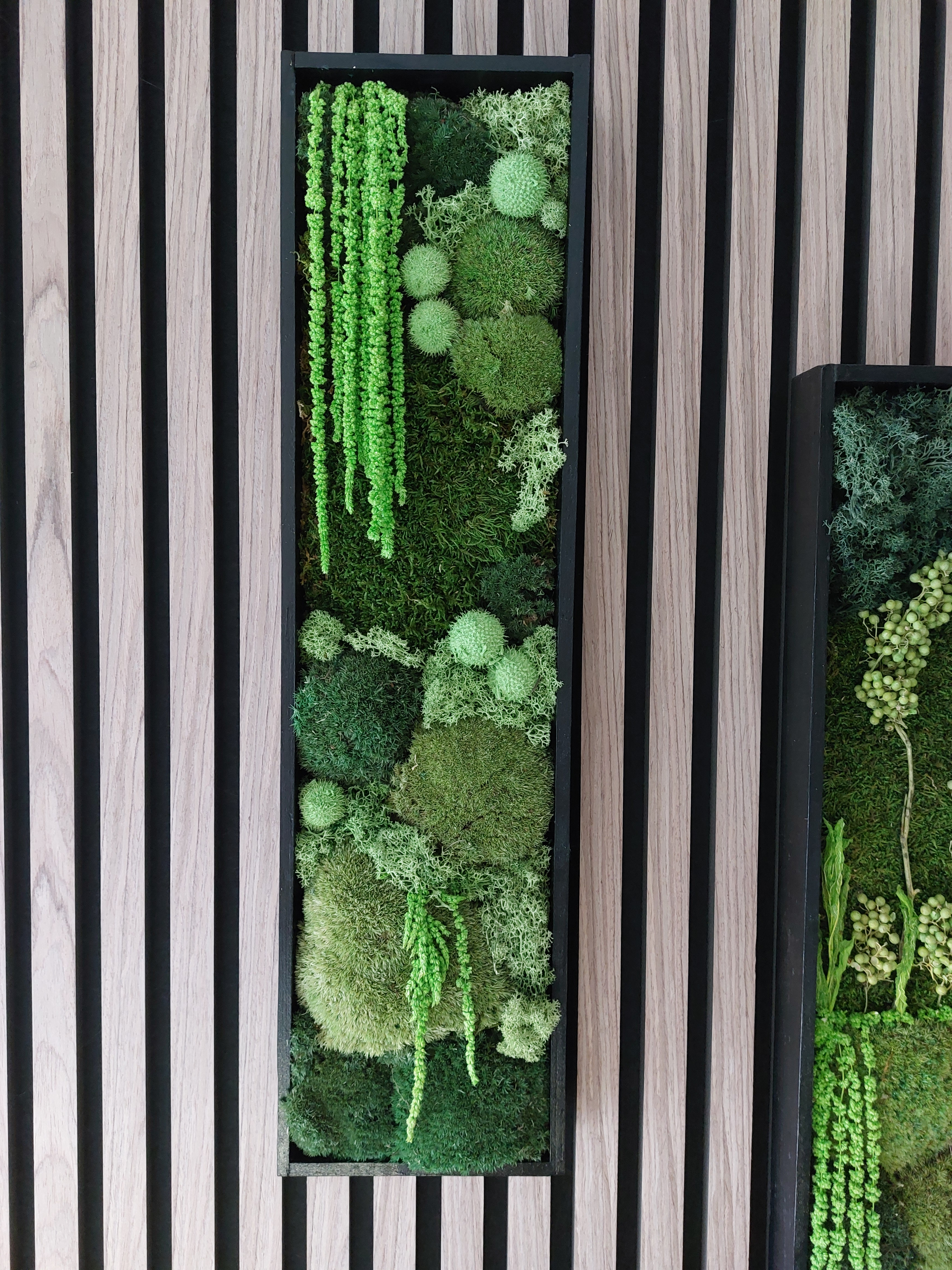 Workshop Powertex 'mosschilderij' - Foto