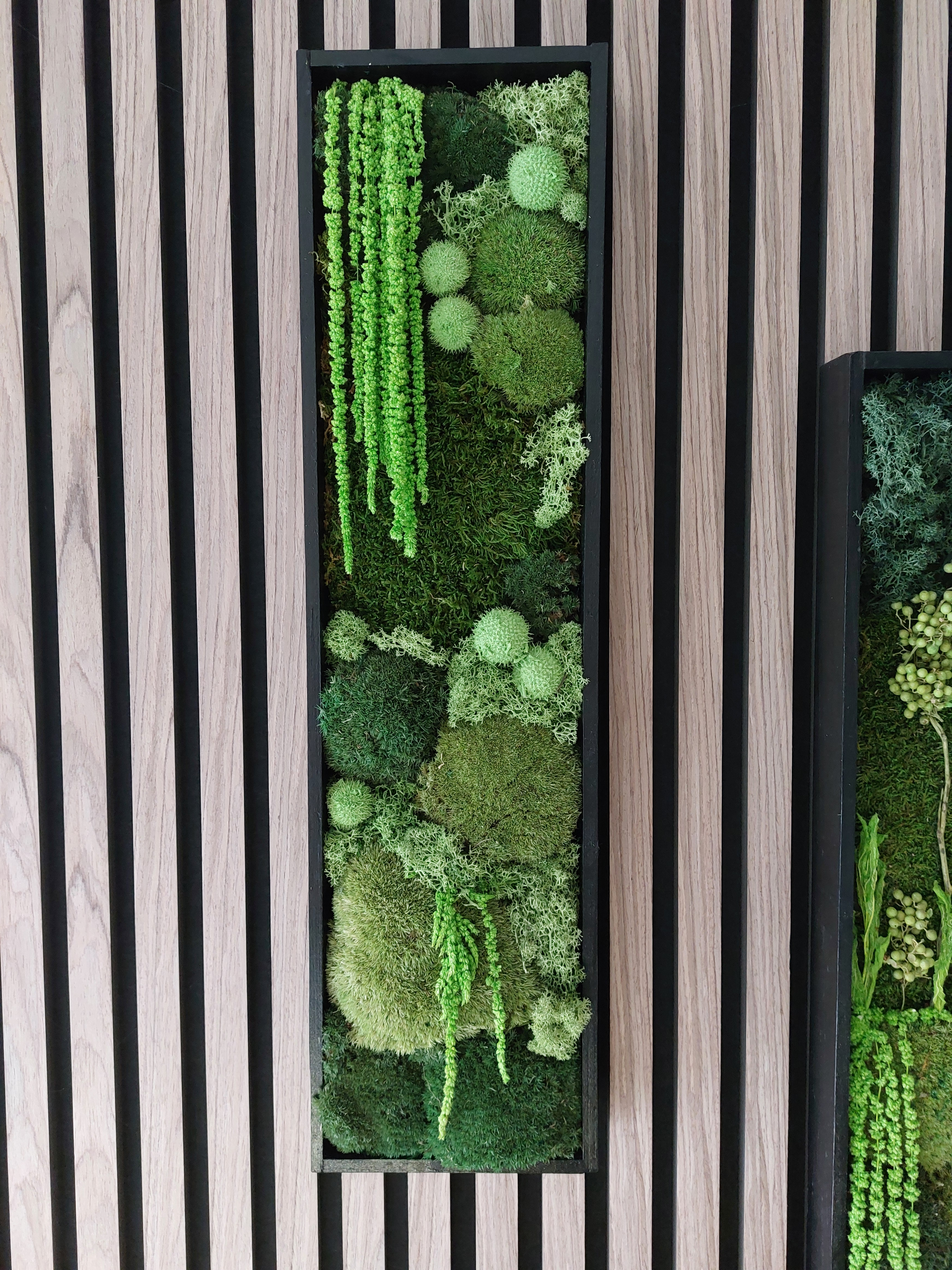 Workshop Powertex 'mosschilderij' - Foto